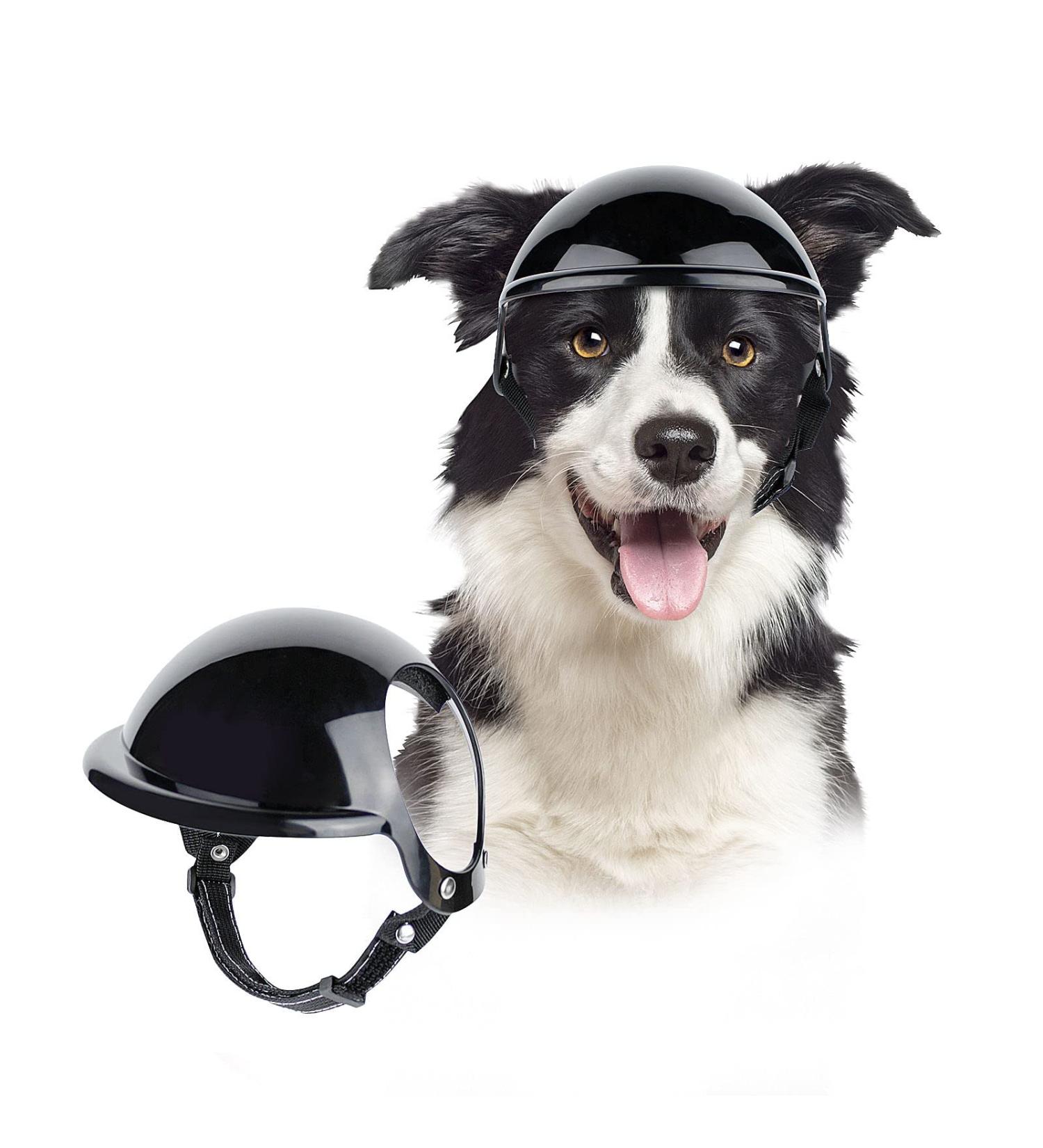 Namsan Cool Motorcycle Dog Helmet - Protective Acrylic Nitro Butadiene Styrene Design for Safe Outdoor Cycling - Black - Buy Online on GoSupps.com