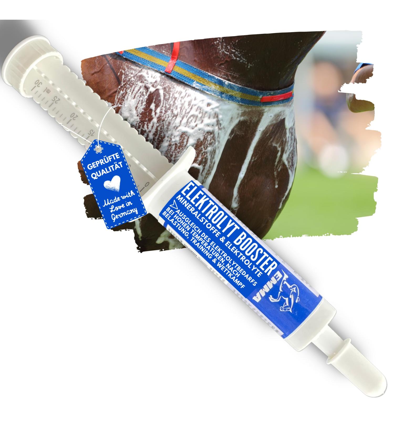 Electrolyte Horse Paste with Vitamins | B Complex Sodium Potassium & Magnesium - Essential After Diarrhea & for Hydration | International Shipping Available - Buy Online on GoSupps.com