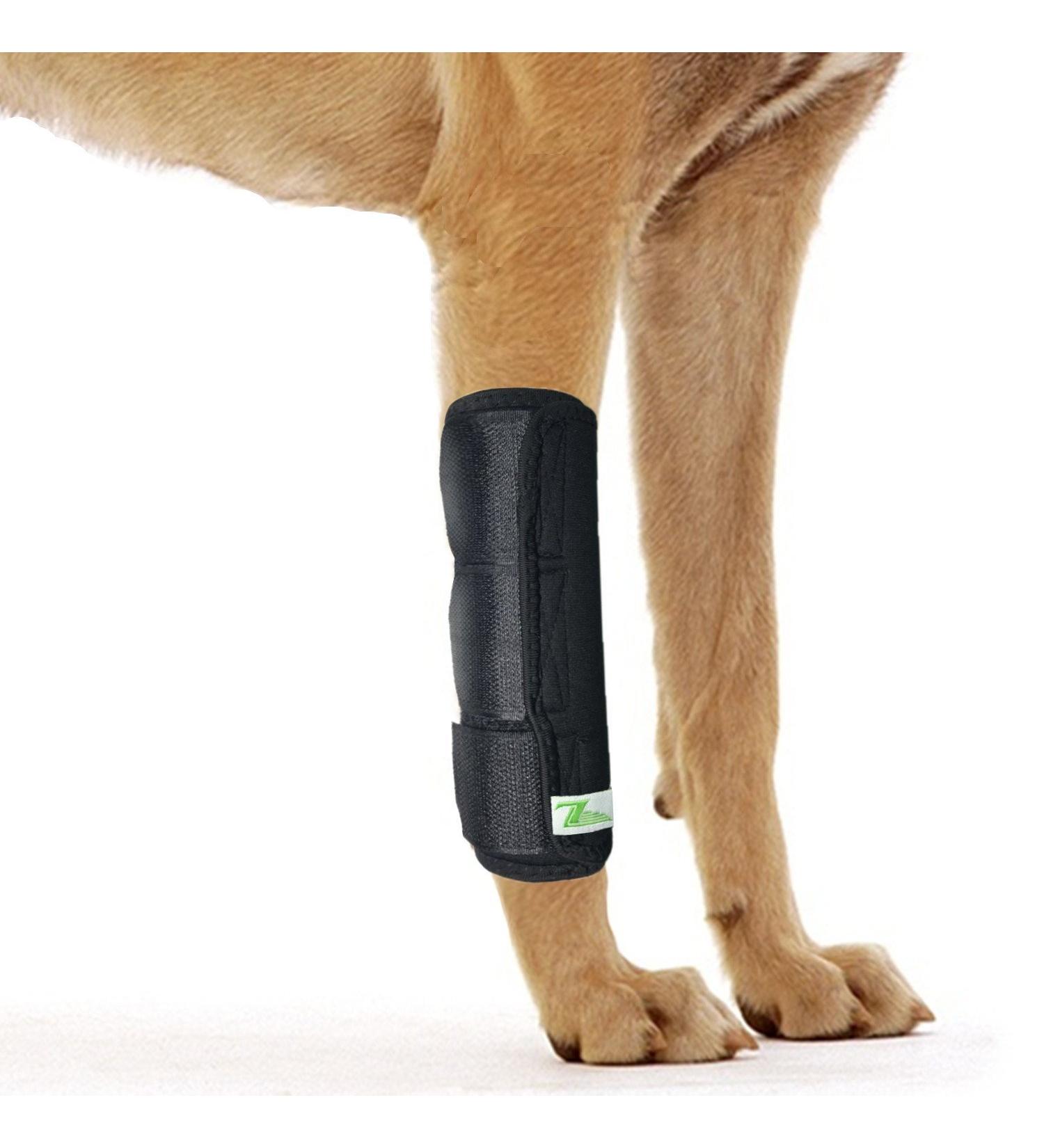 RockPet Dog Front Leg Joint Brace Therapeutic Hip Bandage for Canines (L/XL) - Buy Online on GoSupps.com
