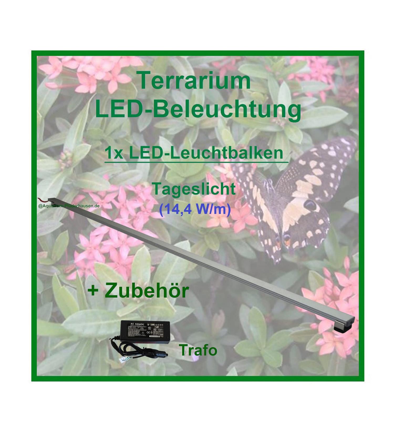 Buy AQUARIUM PL DERHAUSEN Rainforest Terra - 30cm LED Lighting for Tropical Plants | International Shipping - Buy Online on GoSupps.com