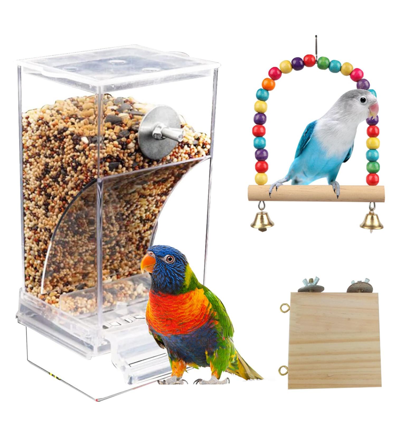 Transparent Automatic Bird Feed Dispenser | Acrylic Feeder for Budgies Nymphicus and Pionus Parrots - International Shipping Available - Buy Online on GoSupps.com