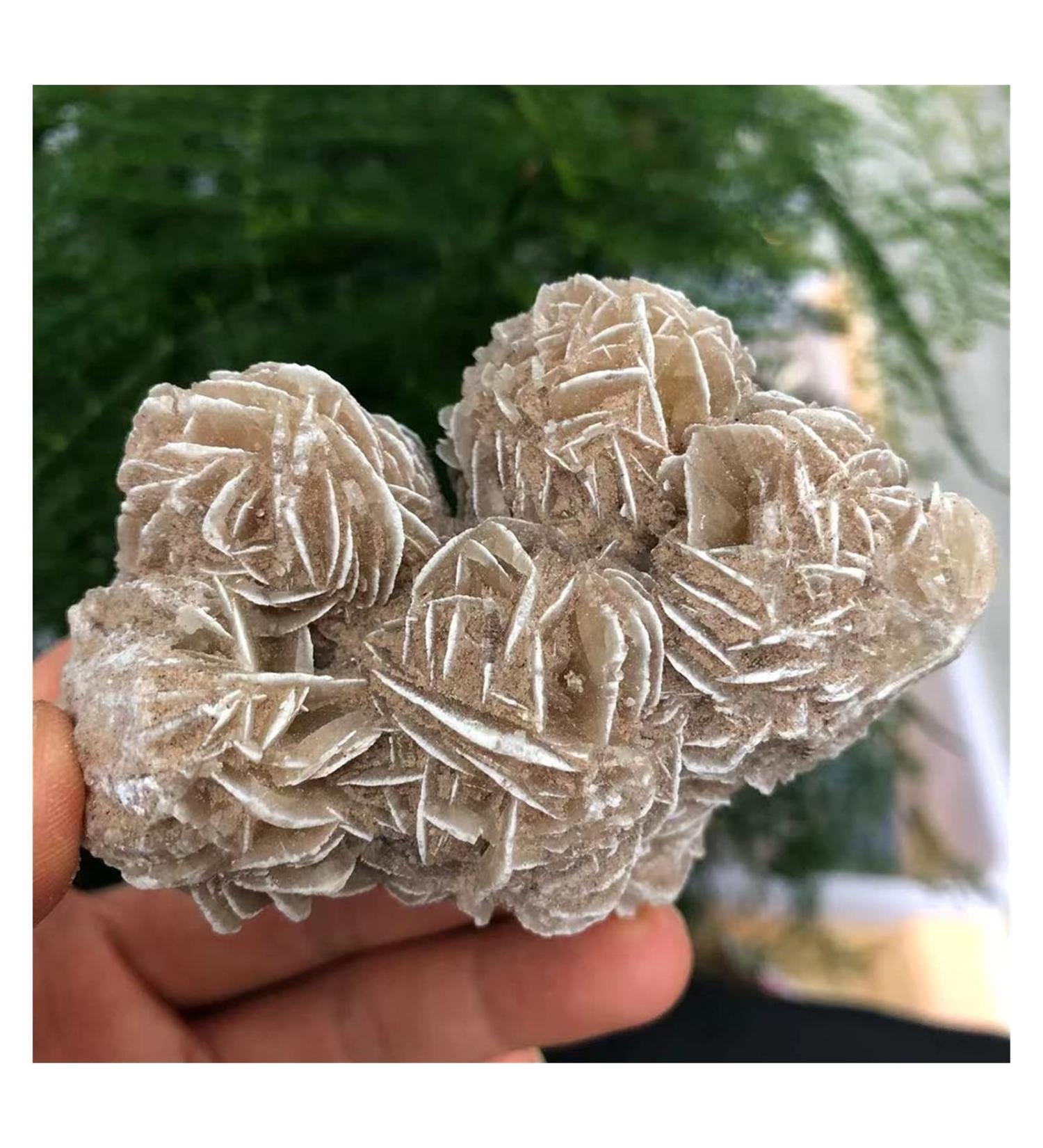 Natural Crystal Rough Natural Desert Rose Selenite Ra Crystal Stone Specimen Rough Sample Cluster FengShui Decor dingchi (Size : 100-200g) - Buy Online on GoSupps.com