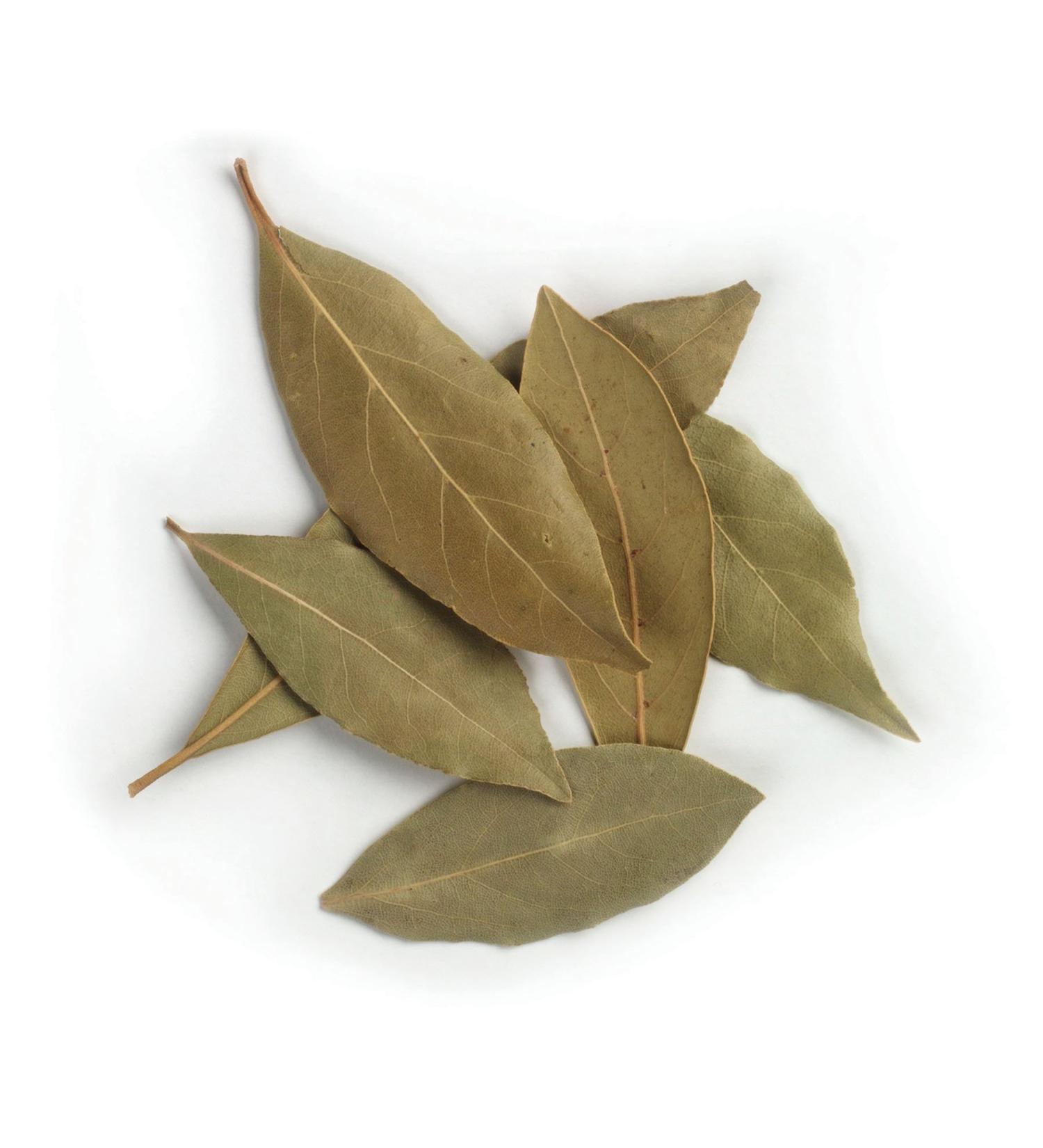 Frontier Co-op Bay Leaf Whole, Hand Select, Certified Organic, Kosher, Non-irradiated | 1 lb. Bulk Bag | Laurus nobilis L.