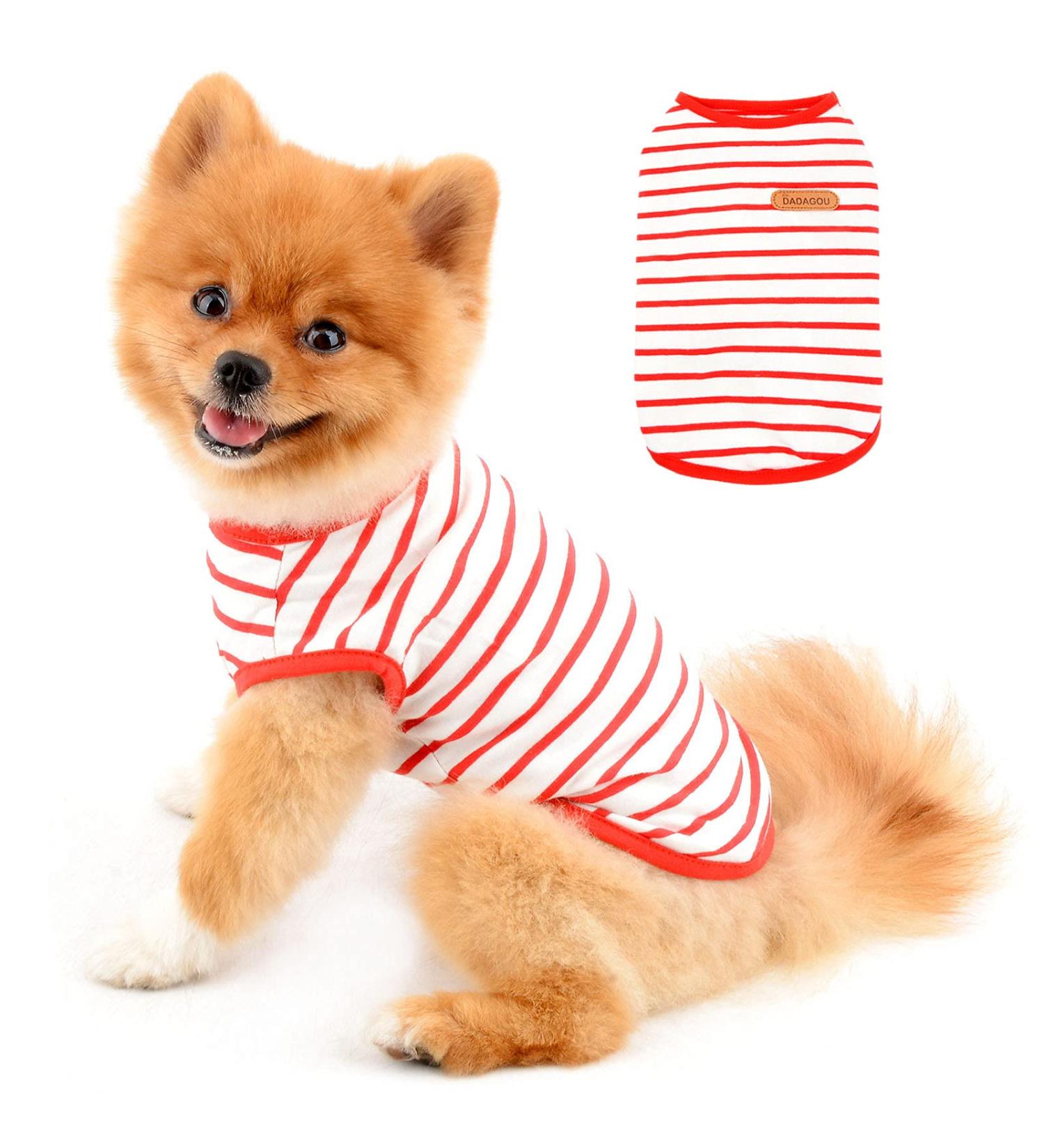 Paidful British Little Dog Shirt - Soft Cotton T-Shirt for Puppies & Small Breeds | Striped Cat Vest | Summer Tank Tops for Chihuahua Yorkie | XL/XXL Sizes Available - Buy Online on GoSupps.com