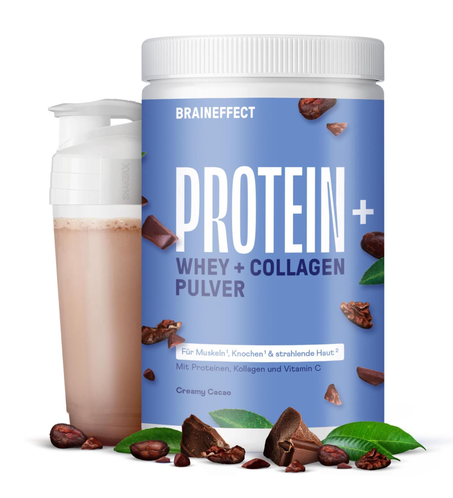 BRAINEFFECT PROTEIN+ | Sugar-Free Whey Protein Powder | Regeneration Boost | Creamy Cocoa Flavor | 630g - Shop Internationally - Buy Online on GoSupps.com