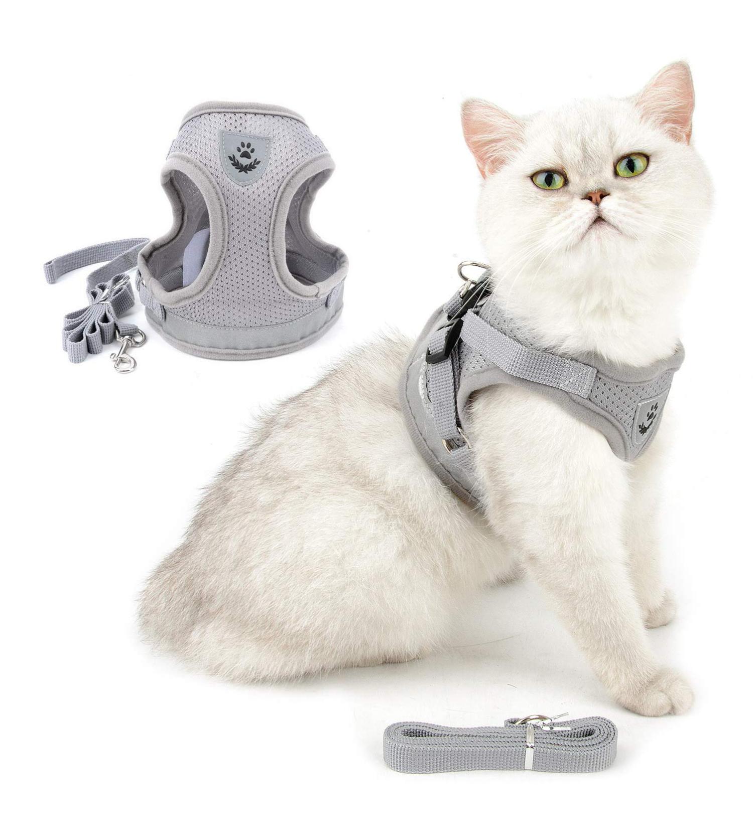Ranphy Breakproof Cat Dishes with Leash - Durable Stylish & Ideal for International Shipping - Buy Online on GoSupps.com