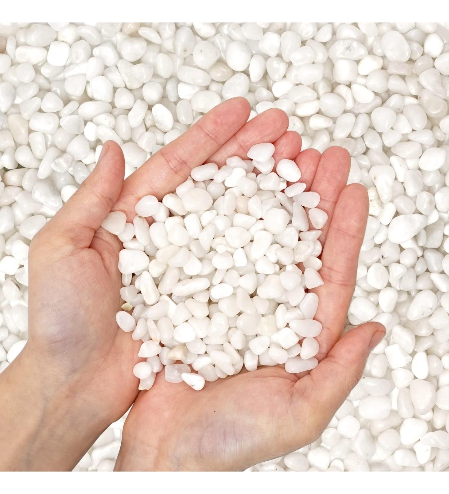 1.6LB Natural Polished Decorative White Pebbles - Small Stones 3/8" Gravel Size,River Rocks Pebbles for Plants, Home DIY Decor,Aquarium Gravel,Vase Fillers,Fairy Garden,Landscaping Outdoor Stones 1.6 LB