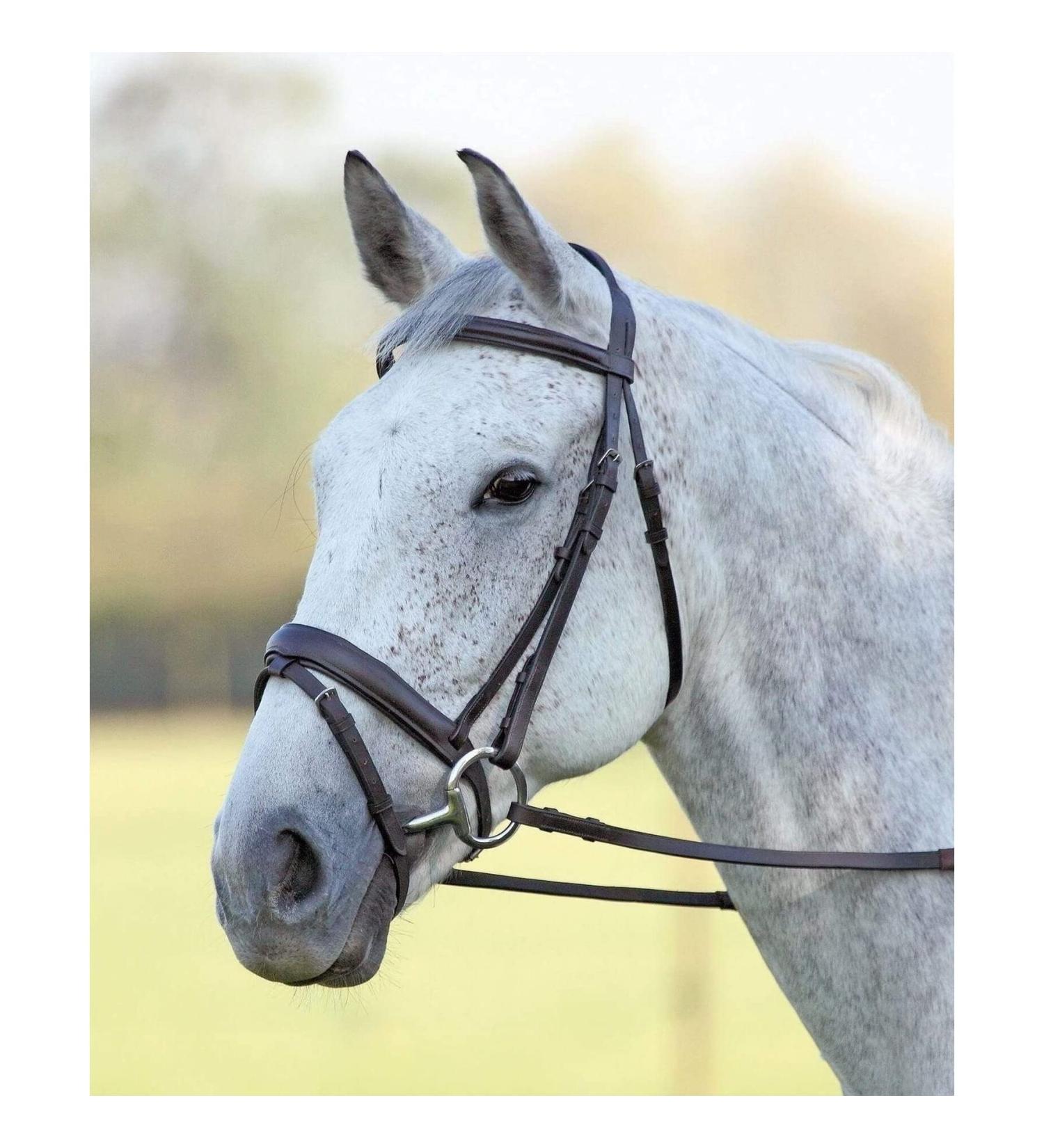 Shires Aviemore Comfort Fit Bridle - Black Pony - Buy Online on GoSupps.com