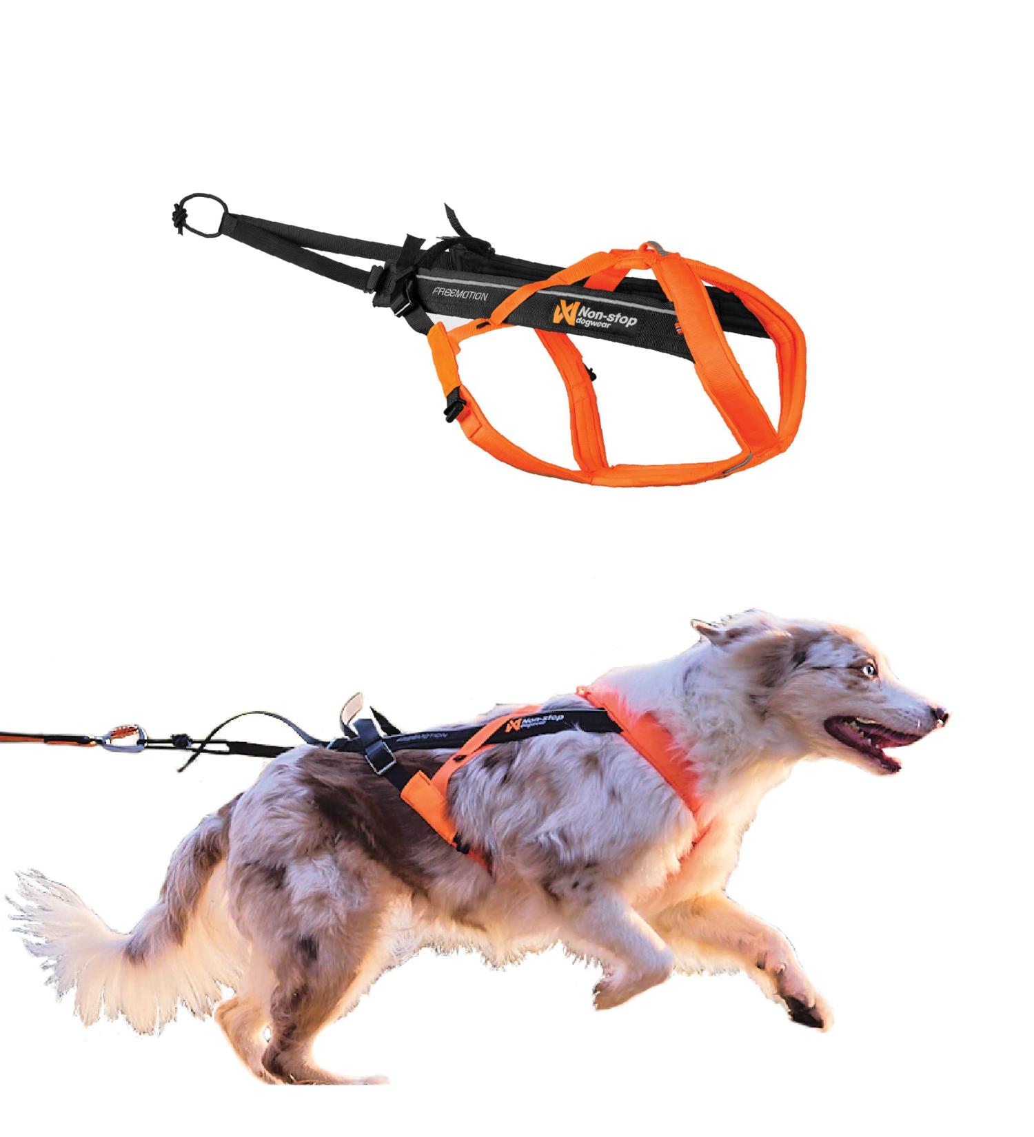 Non-Stop Dogwear Freemotion Harness 5.0 - Black/Orange | Best International Shipping for Active Dogs - Buy Online on GoSupps.com