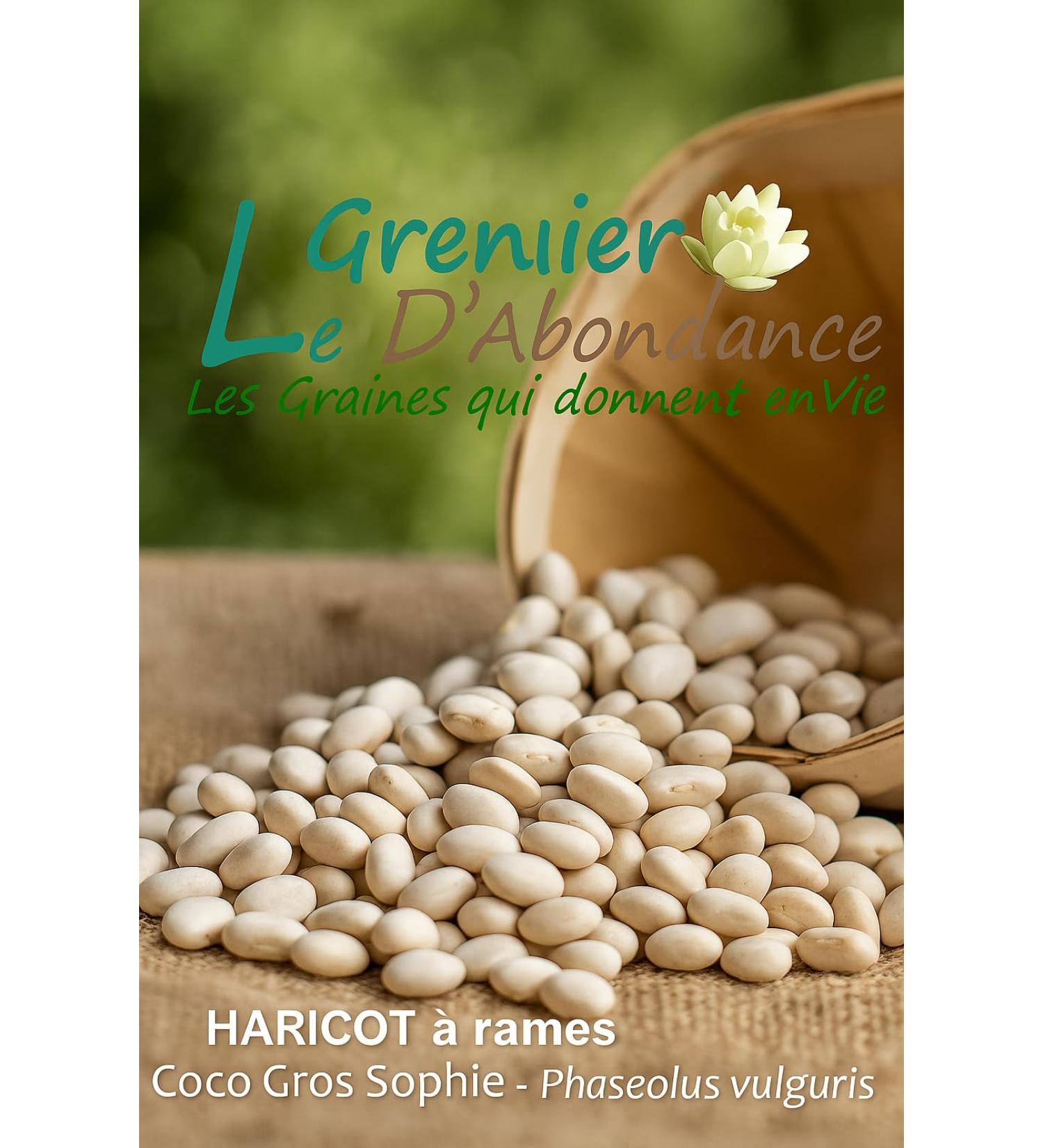 75 g Seeds to sow Le Grenier dAbondance Coco Gros Sophie row bean Phaseolus vulgaris - Buy Online on GoSupps.com