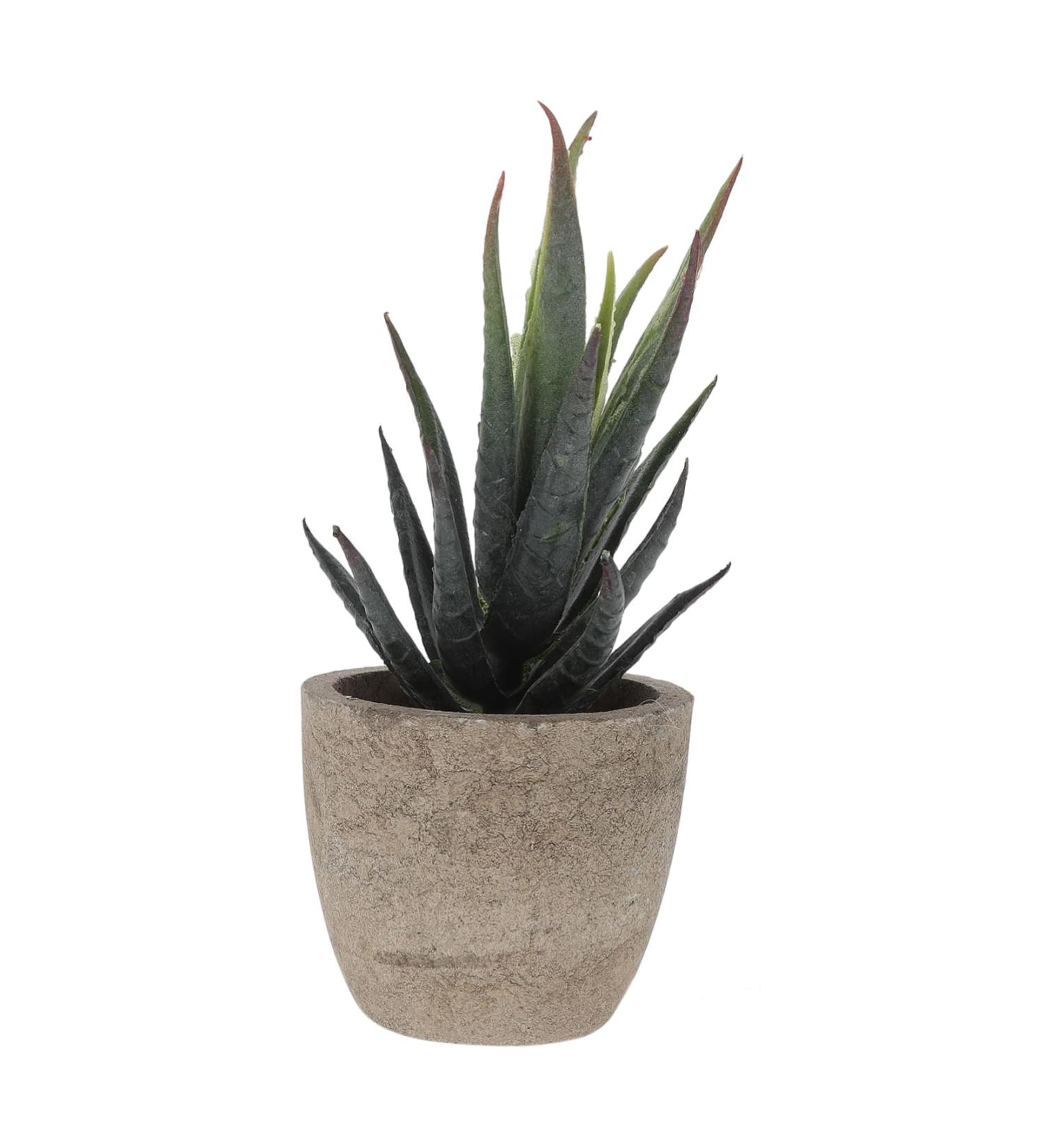 MAGICLULU 2pcs Faux Plant Simulation Plant Small Succulent Plants Home D cor Succulent Simulation Succulents Arrangements Suculentas Artificial Plants Decorative Plants Mini Cactus - Buy Online on GoSupps.com