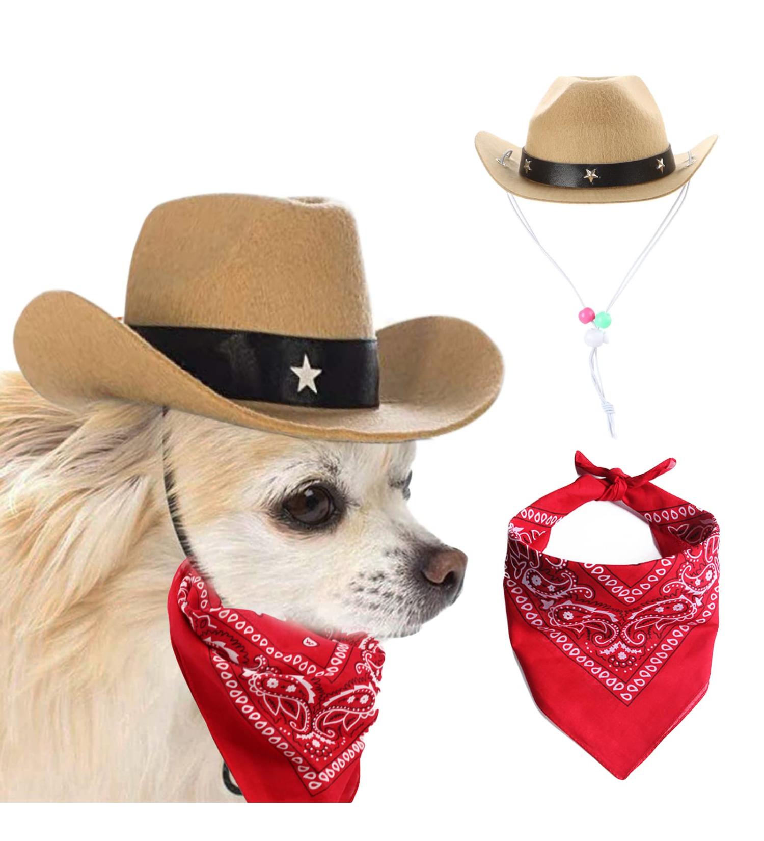 Awocan Cowboy Hat and Bandana for Dogs & Cats - Stylish Pet Costume for Vacations & Parties (Khaki) - Buy Online on GoSupps.com