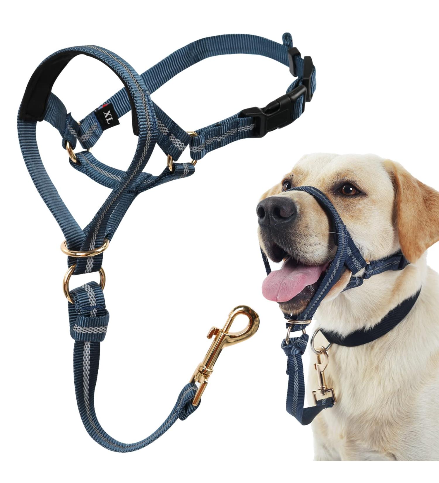 XL Slate Gray No Pull Dog Collar | Soft Upholstery Durable Design & Free Training Instructions - Perfect Control for Heavy Pulling Dogs - Buy Online on GoSupps.com