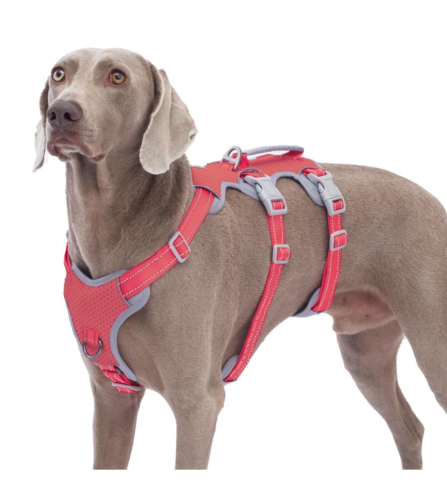 Huntboo Escape Dishes for Dogs | Durable XL Adjustable Harness & Reflective Vest | No Pulling Perfect for Large Dogs - Red - Buy Online on GoSupps.com