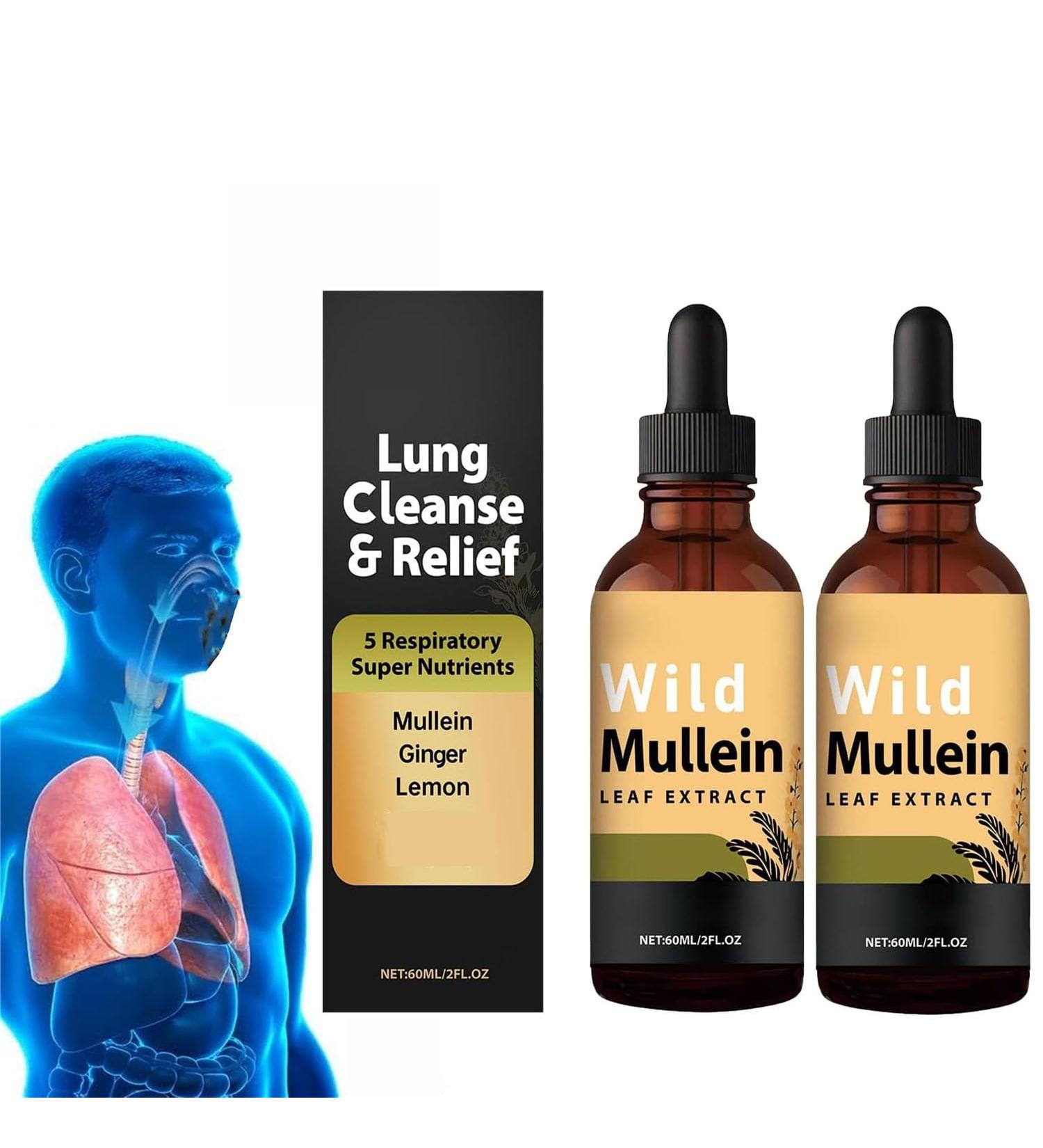 Gouttes de mol ne sauvage gouttes d'extrait de feuille de mol ne pour nettoyage des poumons gouttes naturelles de mol ne avec gingembre et citron pour le nettoyage des poumons formule naturelle (2 2 Pi ces. - Buy Online on GoSupps.com