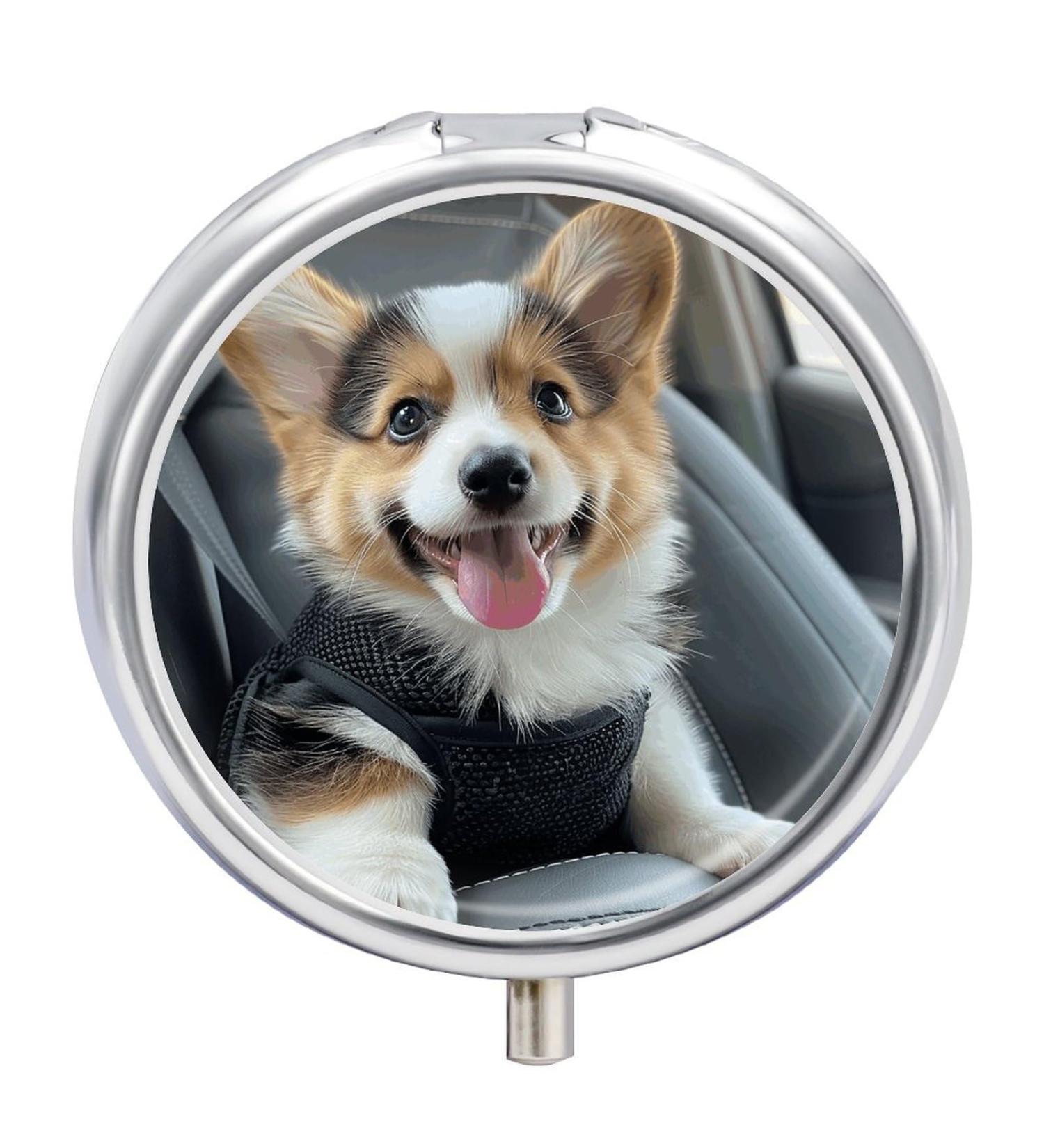 Portable 3 Compartment Pill Box Organizer | Travel-Friendly Medicine Case - Compact & Stylish for Purse & Pocket - Buy Online on GoSupps.com