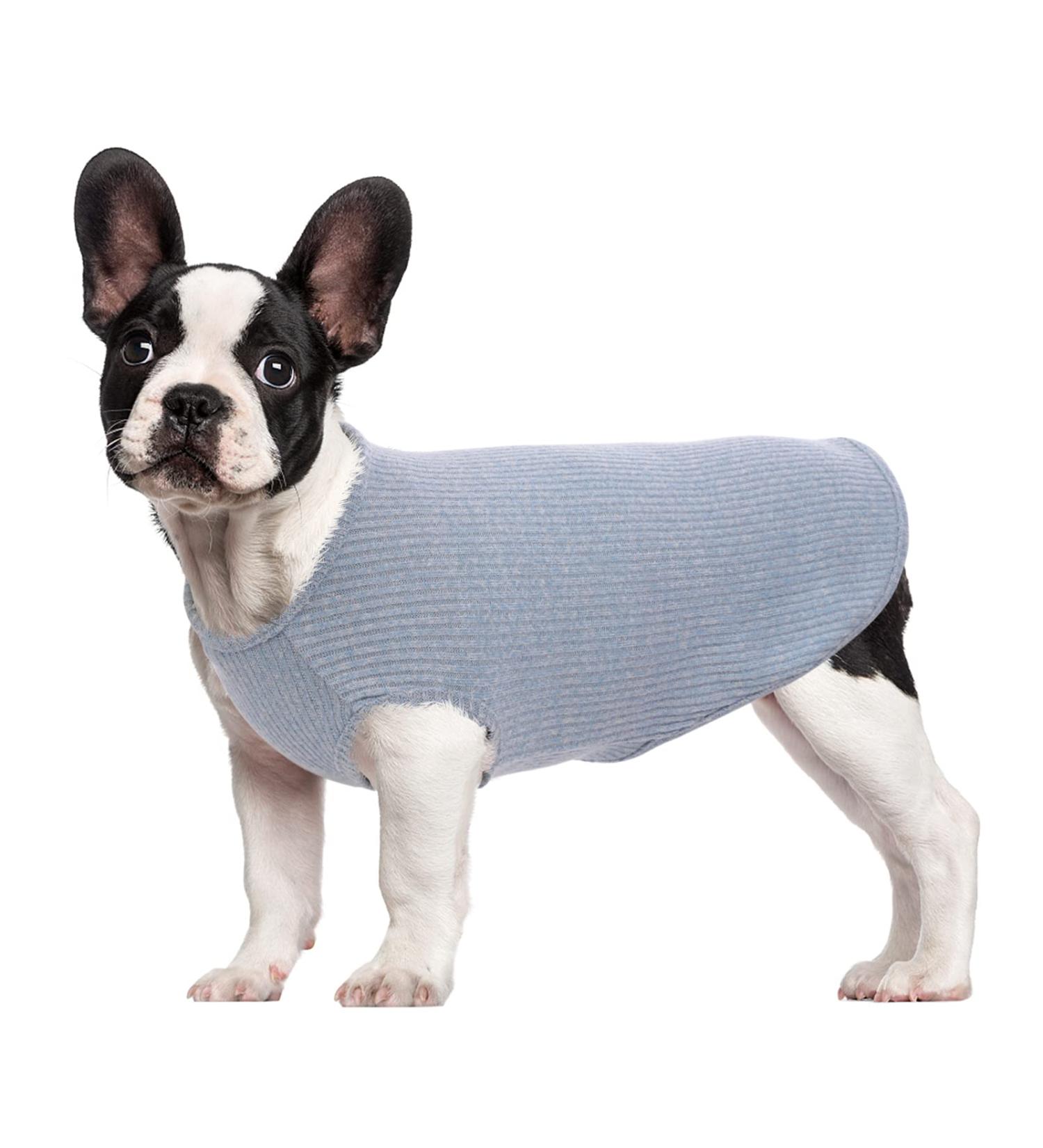 Hjumarayan Dog Sweater for Small Dogs - Washable Elastic Striped Shirt for Chihuahua & Yorkshire Terrier - Light Blue XS - Buy Online on GoSupps.com