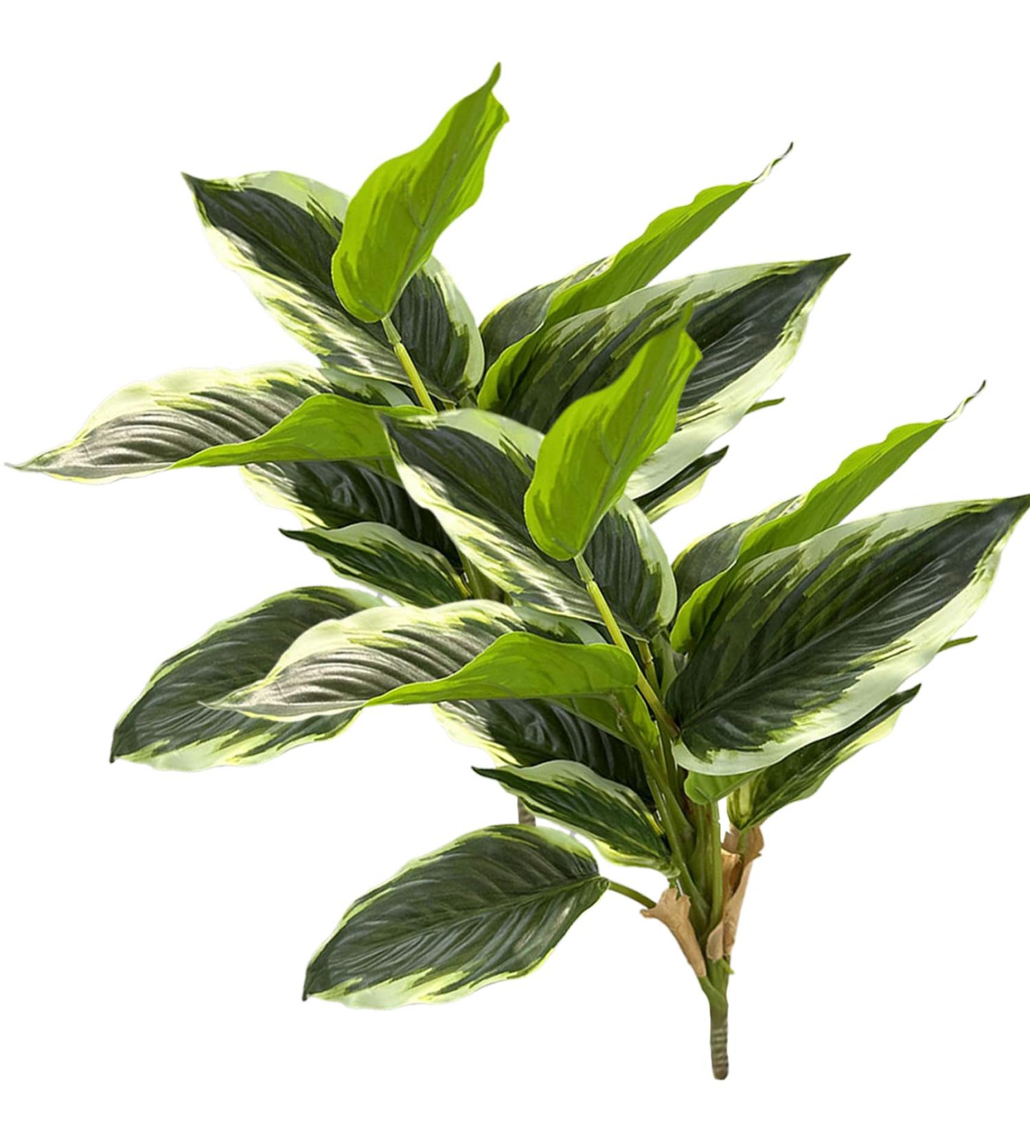 2 Bouquets Artificial Hostas 17.71in Tall Realistic Fake Dieffenbachia with 14 Leaves Low-Maintenance Indoor Aesthetic Artificial Greenery for Wedding Garden Home Office Decor Fake Plants - Buy Online on GoSupps.com