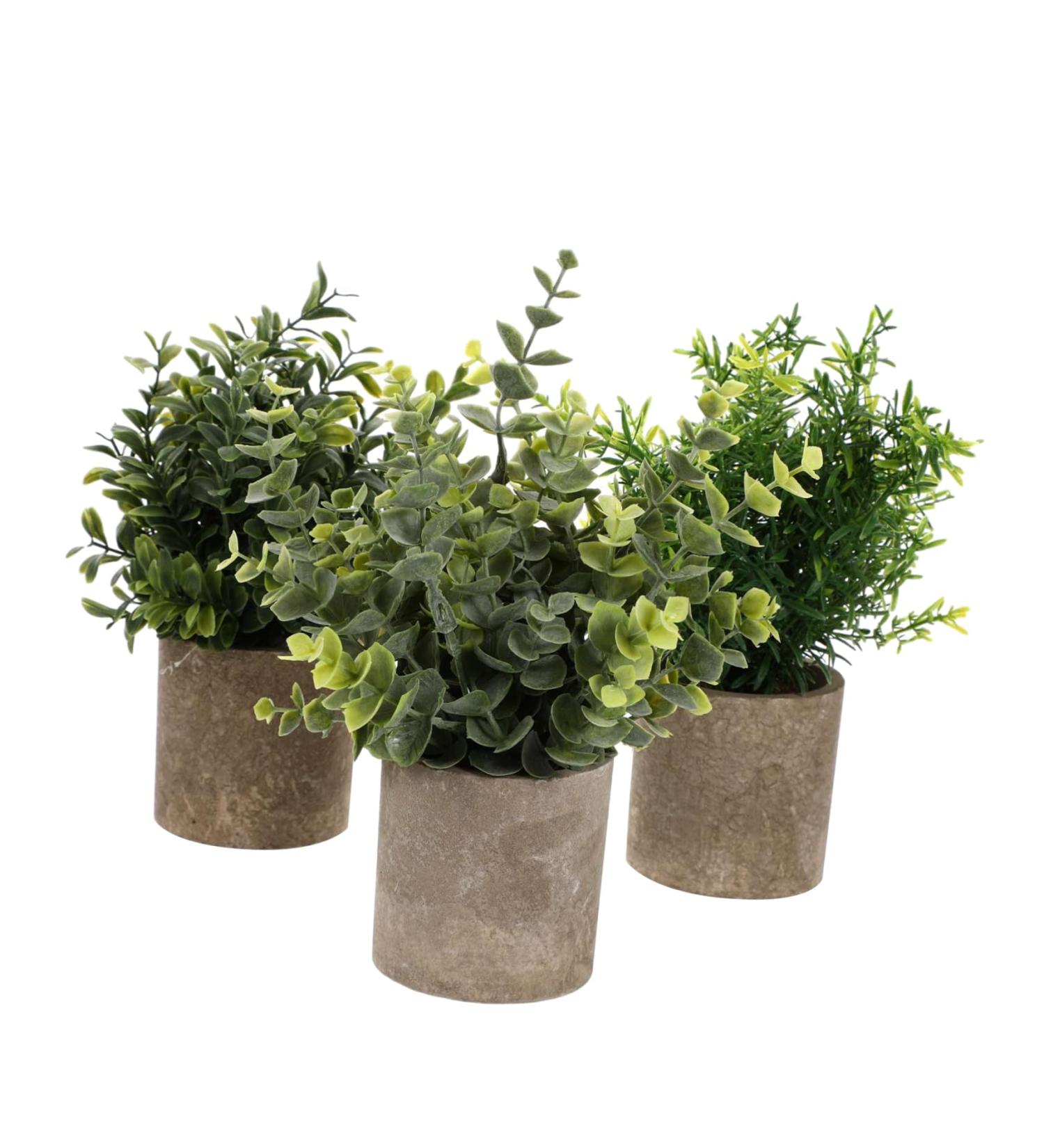 Zerodeko 3pcs Artificial Bonsai House Plants Para De Mujer Interior Flower Pots Indoor Faux Aloe Plant House Plant Pots Fake Ceramic Planter Plastic Household Small Potted Plants Office - Buy Online on GoSupps.com