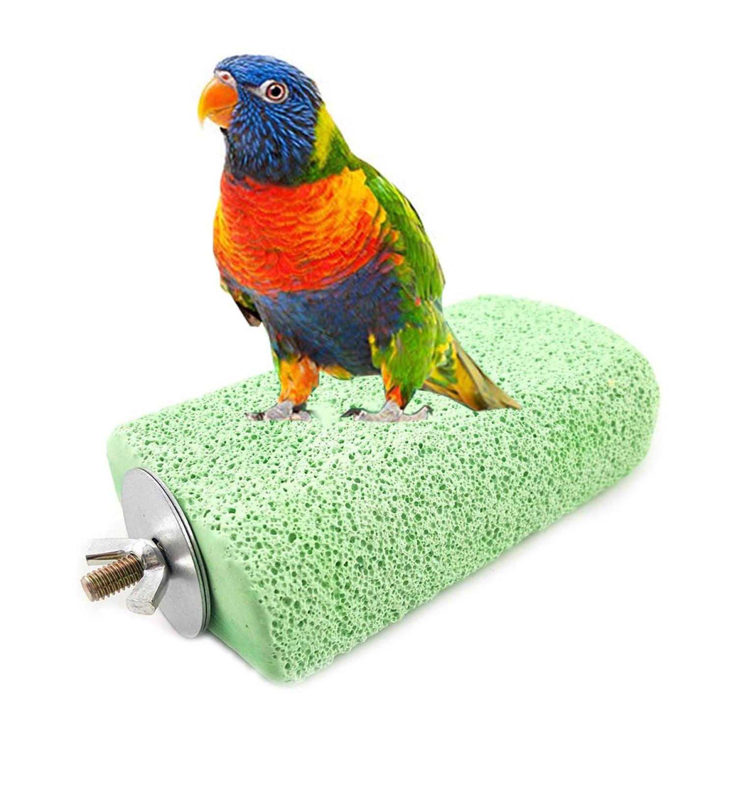 Wontee Bird Calcium Teeth Chew Toy - Ideal for Parrot, Parakeet, Cockatiel, Rabbit, Chinchilla, Squirrel - Cage Perch Stand - Random Color - Buy Online on GoSupps.com
