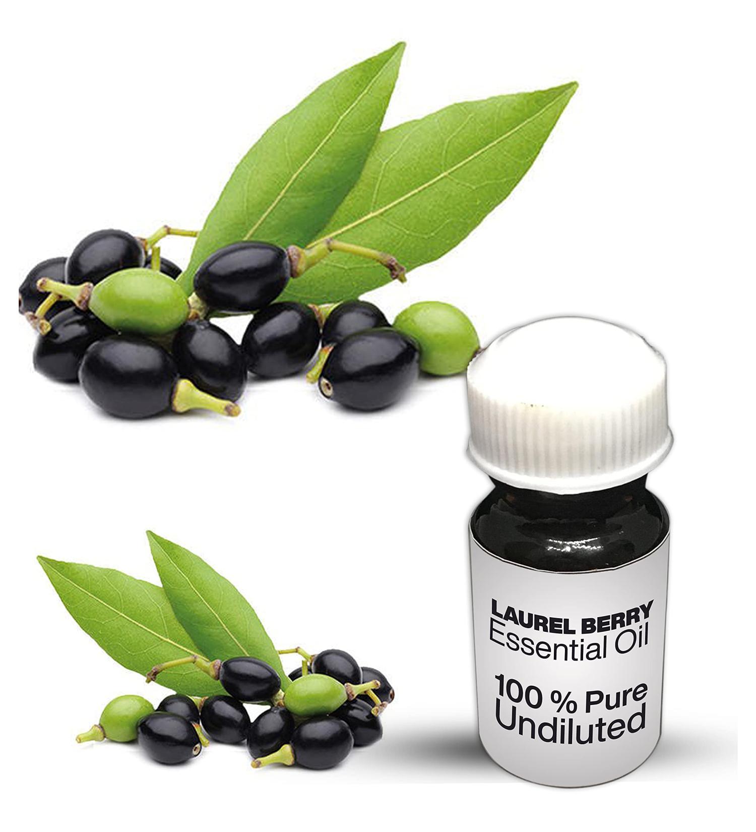 Laurel Berry Essential Oil / 100% pure laurel berry undiluted essential oil premium quality (25 ml)