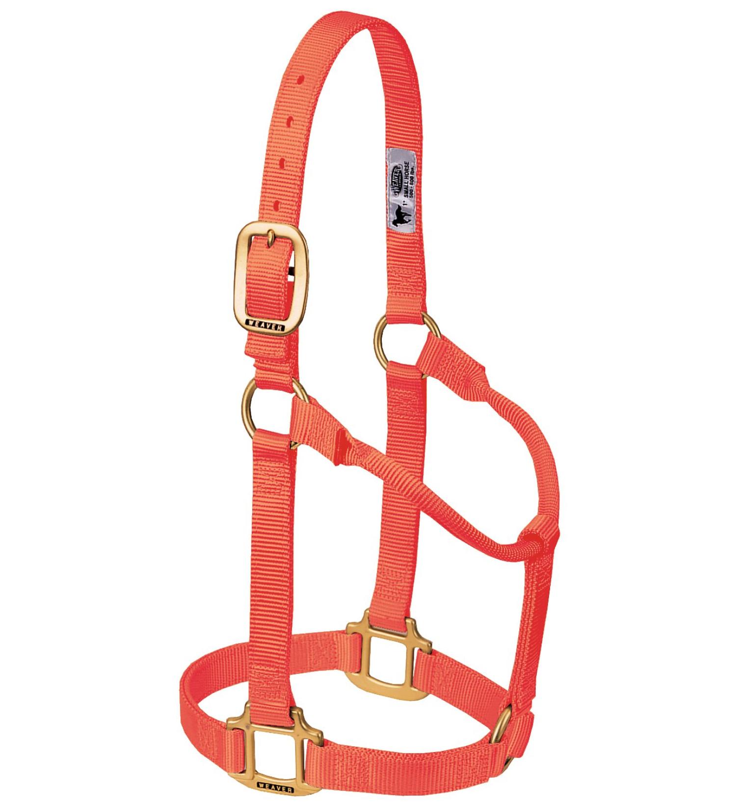 WEAVER Leather Non-adjustable halter blaze orange Large Horse