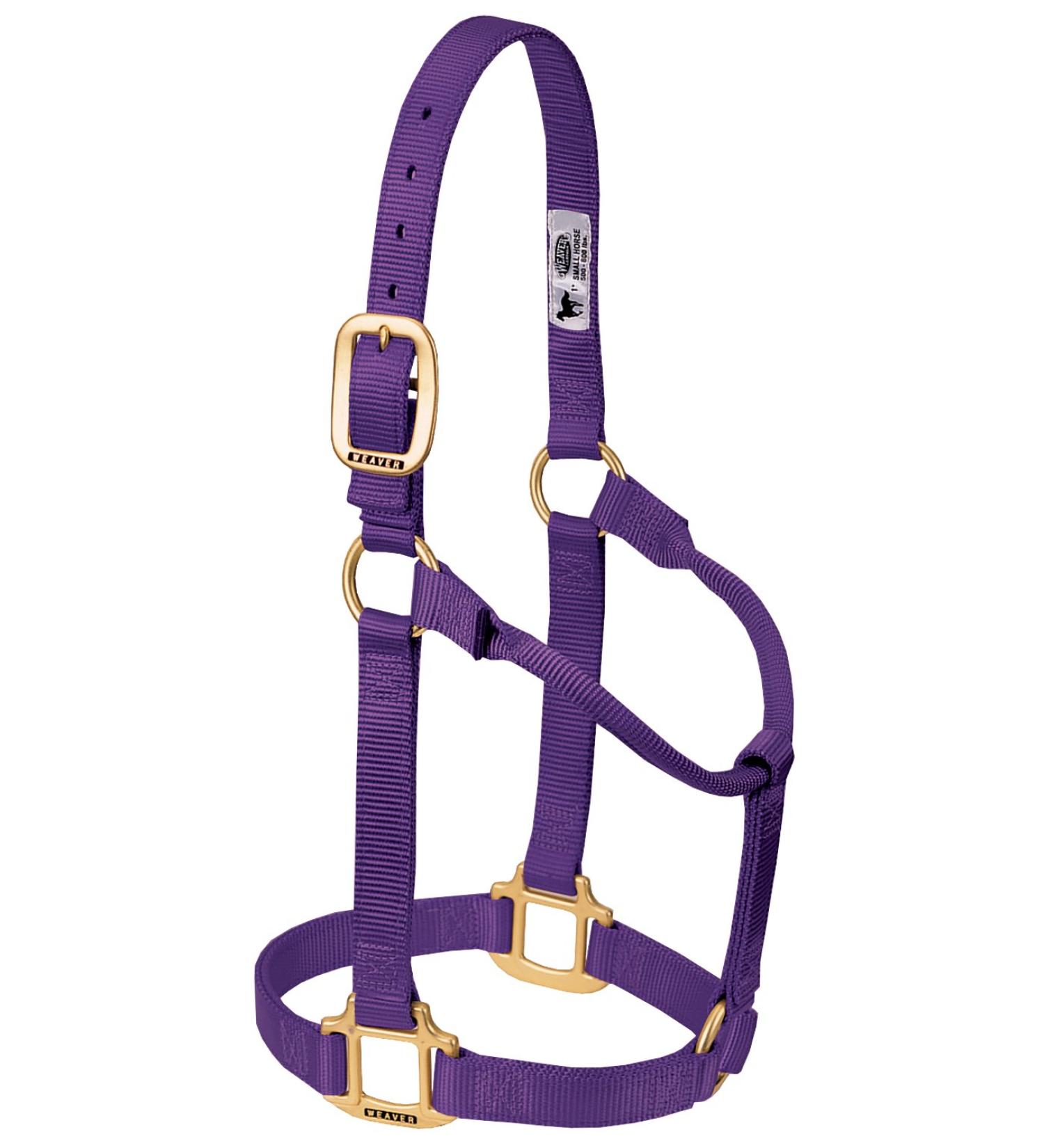WEAVER Leather Non-adjustable Halter Purple Small Horse