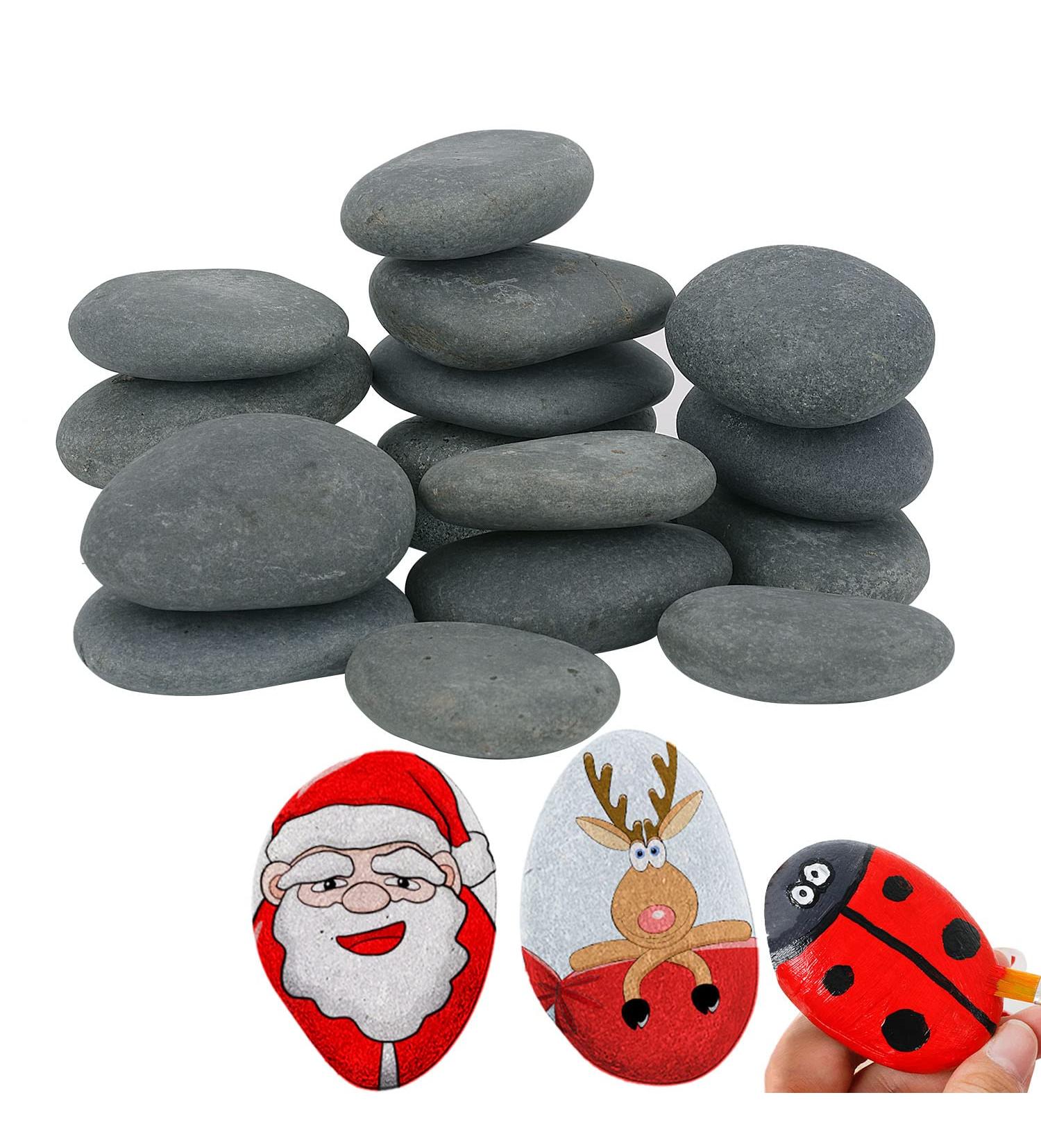 Lulonpon 16-Piece Painting Rocks Set - 2-3 Inch Kindness Rocks for Kids - Smooth Surface Arts and Crafting Supplies - 4.0 lbs Blue-Gray River Rocks Bulk - Buy Online on GoSupps.com