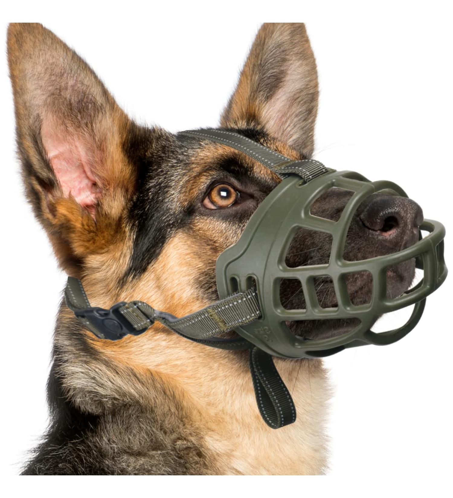 Buy Green Dog Muzzle - Adjustable 1 Piece (Snout 16.5-19.7 cm) for Comfortable Fit - International Shipping Available - Buy Online on GoSupps.com