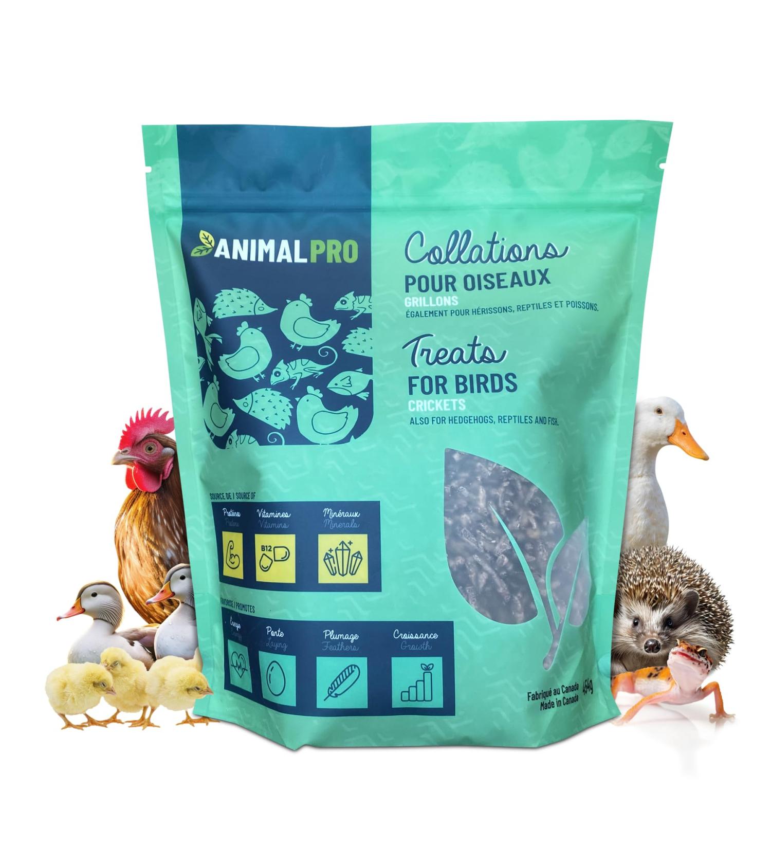 AnimalPro Crickets for birds 454 g - 1 LB - Buy Online on GoSupps.com