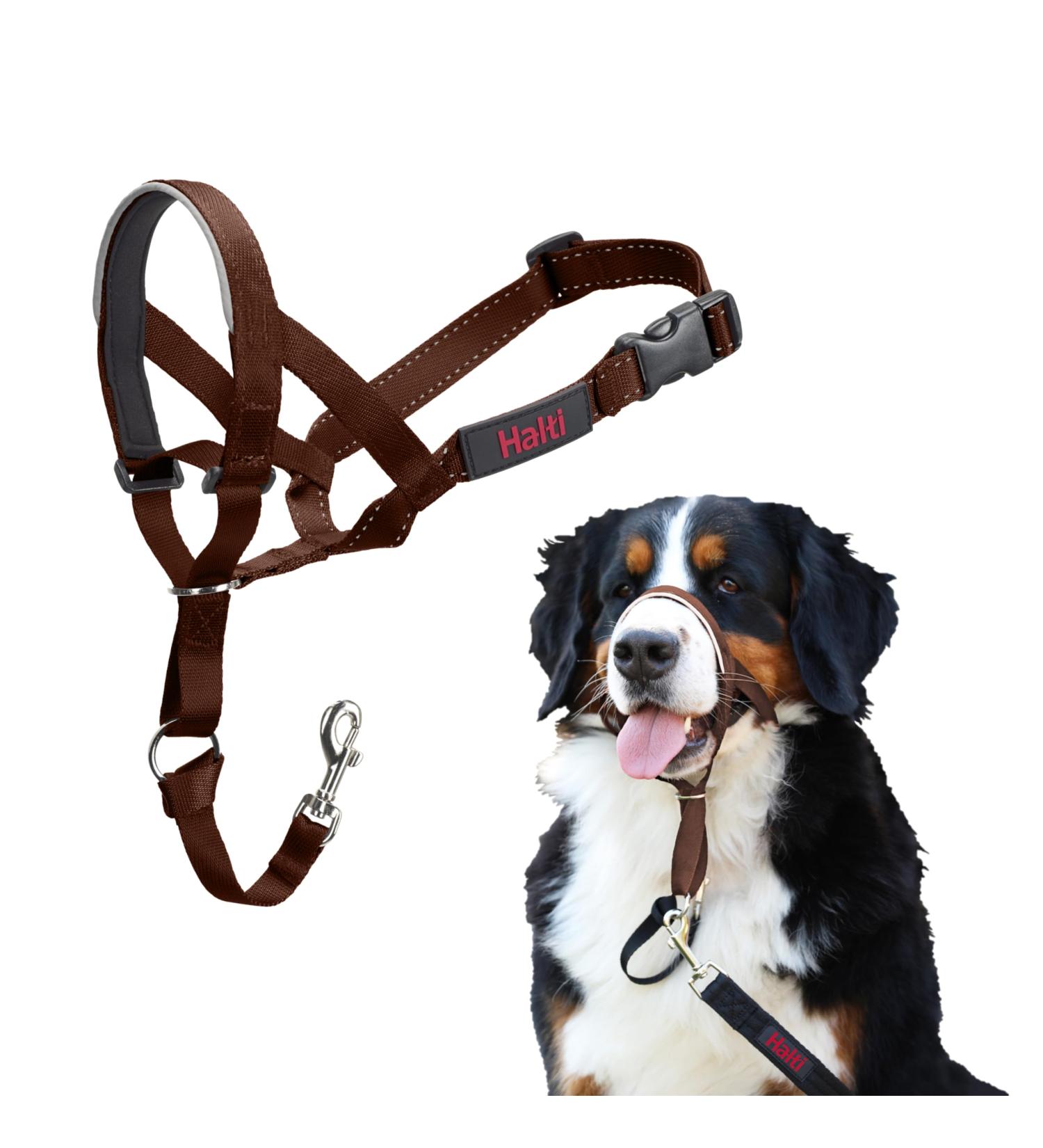 Halti Head Harness for Large Dogs | No-Pull Leash Training | Padded Nose Strap | Size 4 Walnut Brown - Global Shipping Available - Buy Online on GoSupps.com