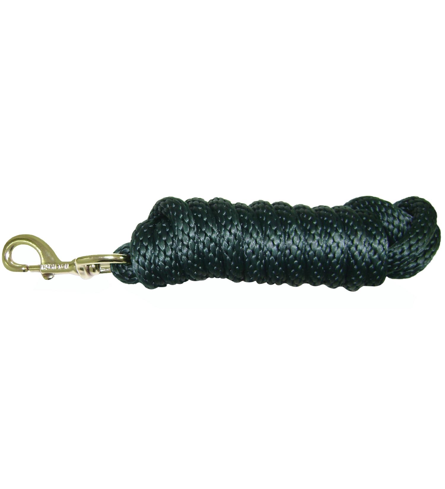 Hamilton Poly leash with snap hook dark green