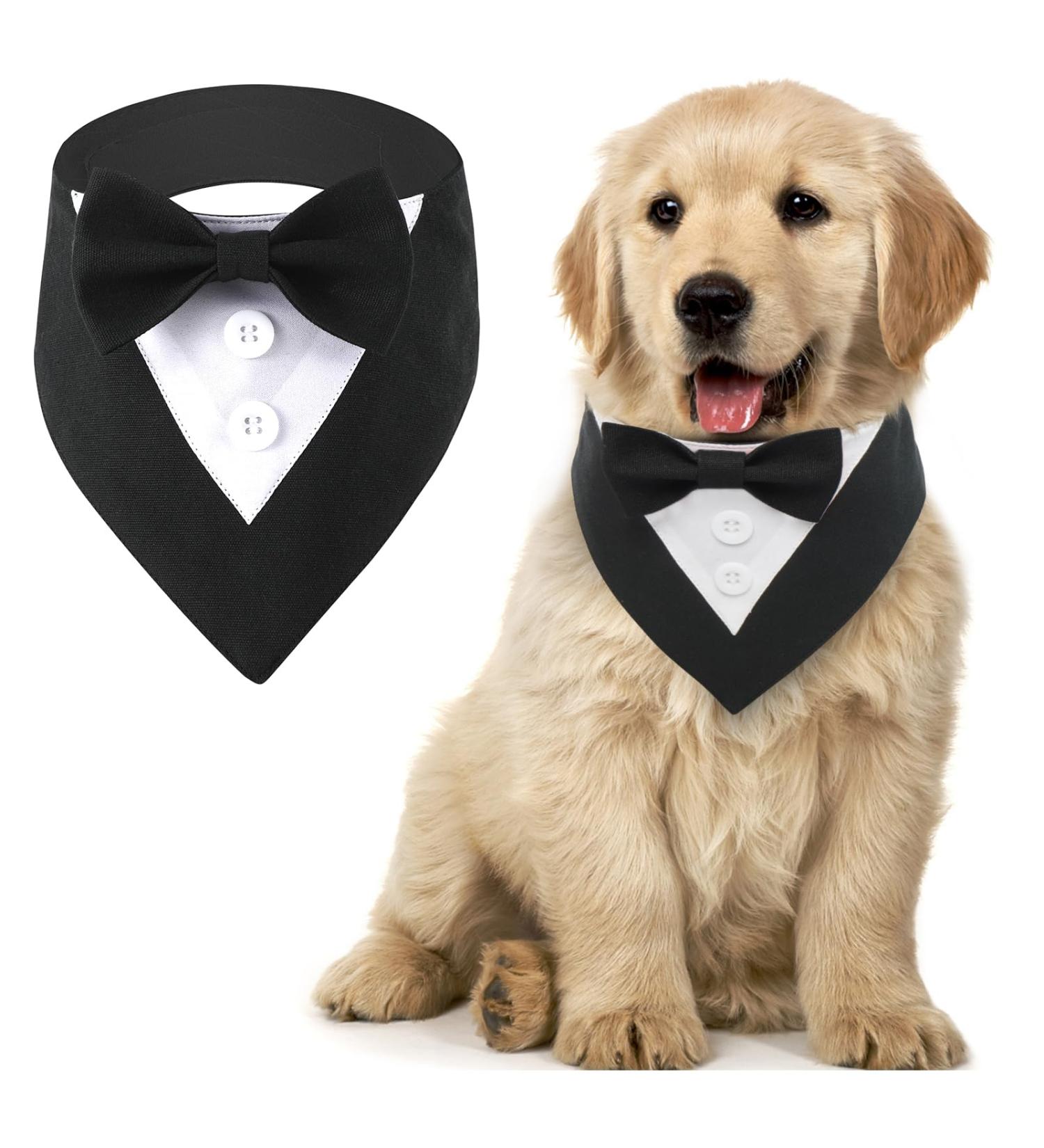 Maustlie Dogs Smoking Bandana | Adjustable Triangle Scarf for Pets | Formal Wedding & Party Wear | Black (S) | Stylish Dog Accessories - Buy Online on GoSupps.com