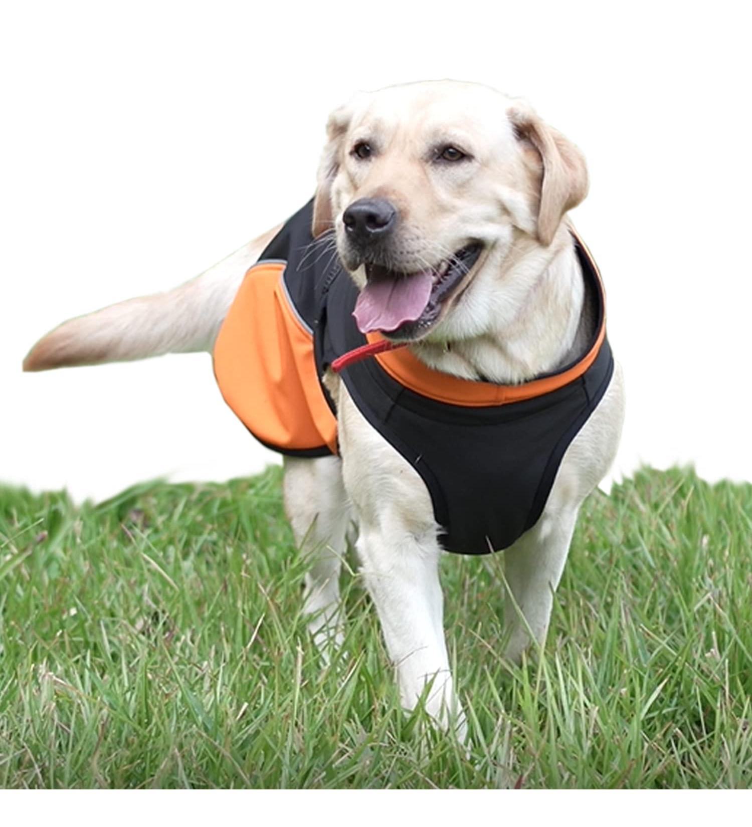 Pet Large Dogs Raincoat | Waterproof Jacket for Dogs | Adjustable Lightweight Vest | XXL Size 2XL 76-85lbs | Orange - Buy Online on GoSupps.com