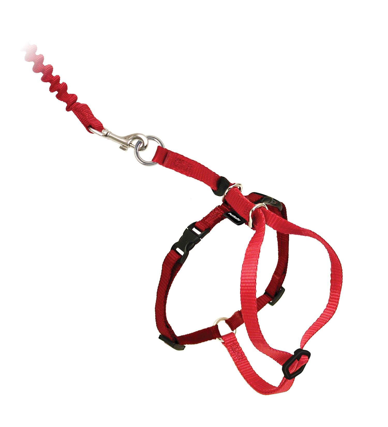 PetSafe Easy Walk Cat Harness - Size S Red | Elastic Bungee Leash for Comfortable Cat Walking | International Shipping Available - Buy Online on GoSupps.com