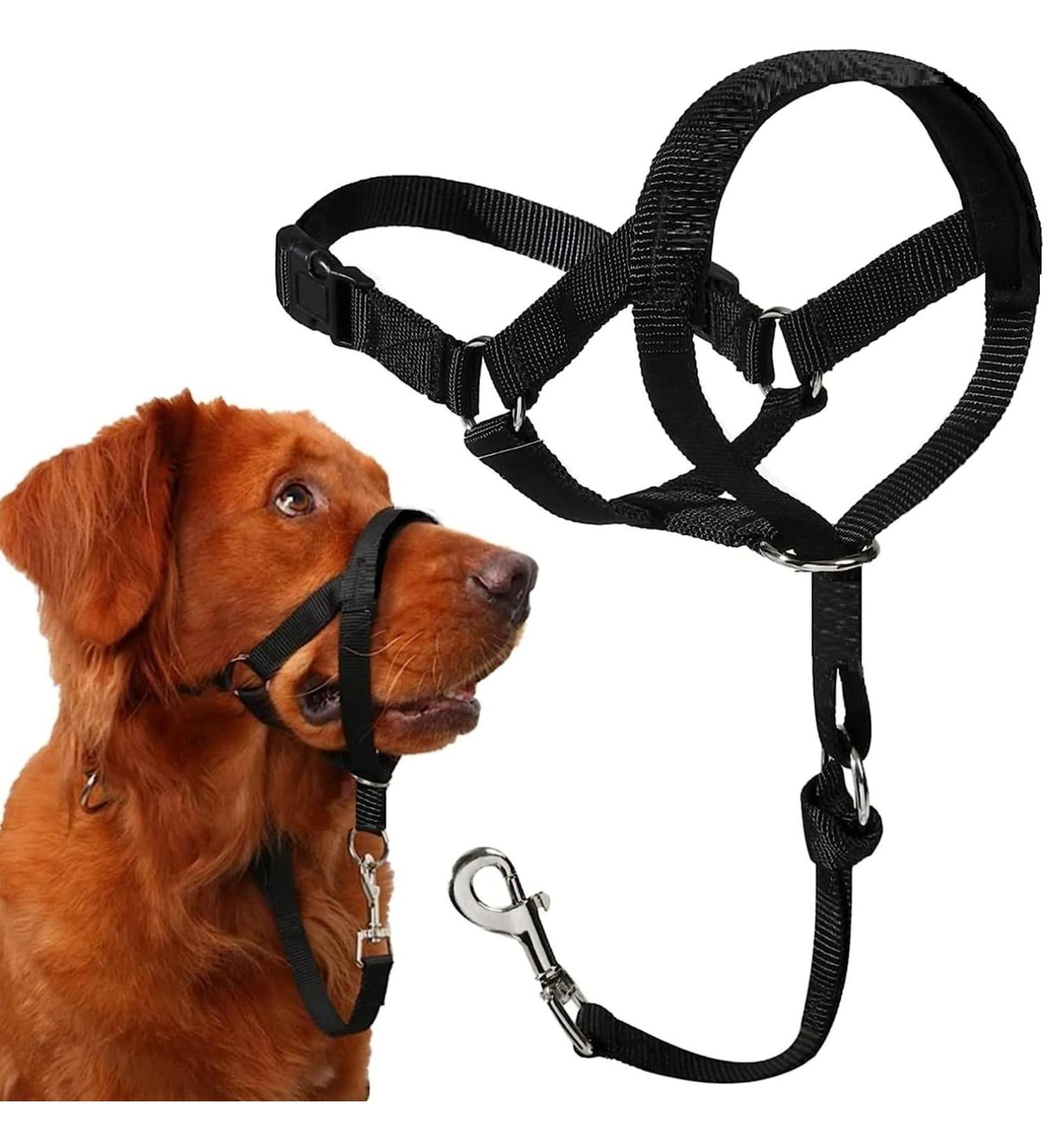 Voarge Dog Muzzle Head Halter Collar for Large Dogs (XXL) | Adjustable & Safety Strap for Easy Control | Small, Medium & Large Breeds - Buy Online on GoSupps.com