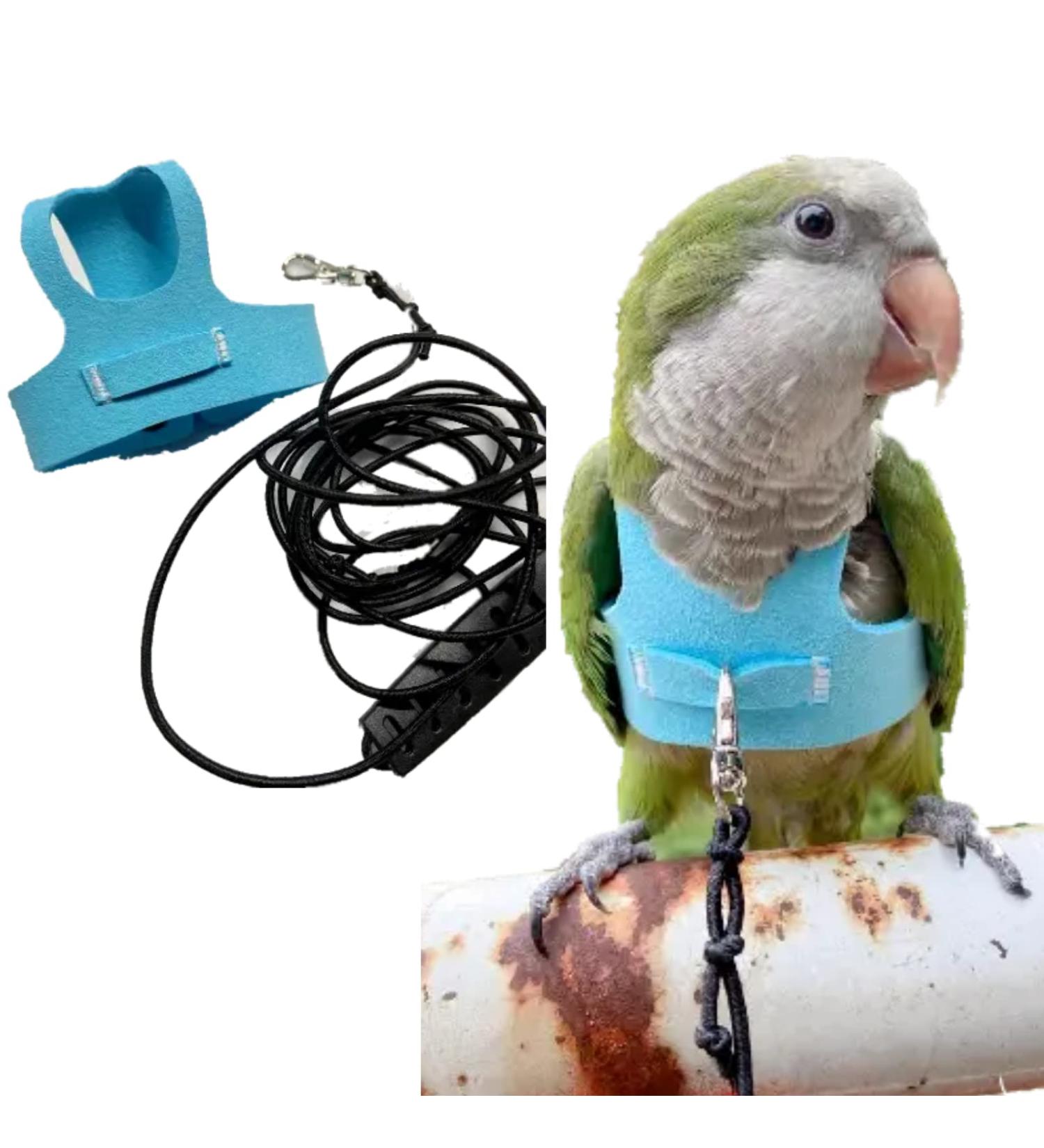 Bird Flight Harness Vest | Parrot Flight Suit with Leash | Outdoor Bird Flying Clothes | Training Vest for Parakeets, Cockatiels, Conures, Budgies | Blue - Buy Online on GoSupps.com