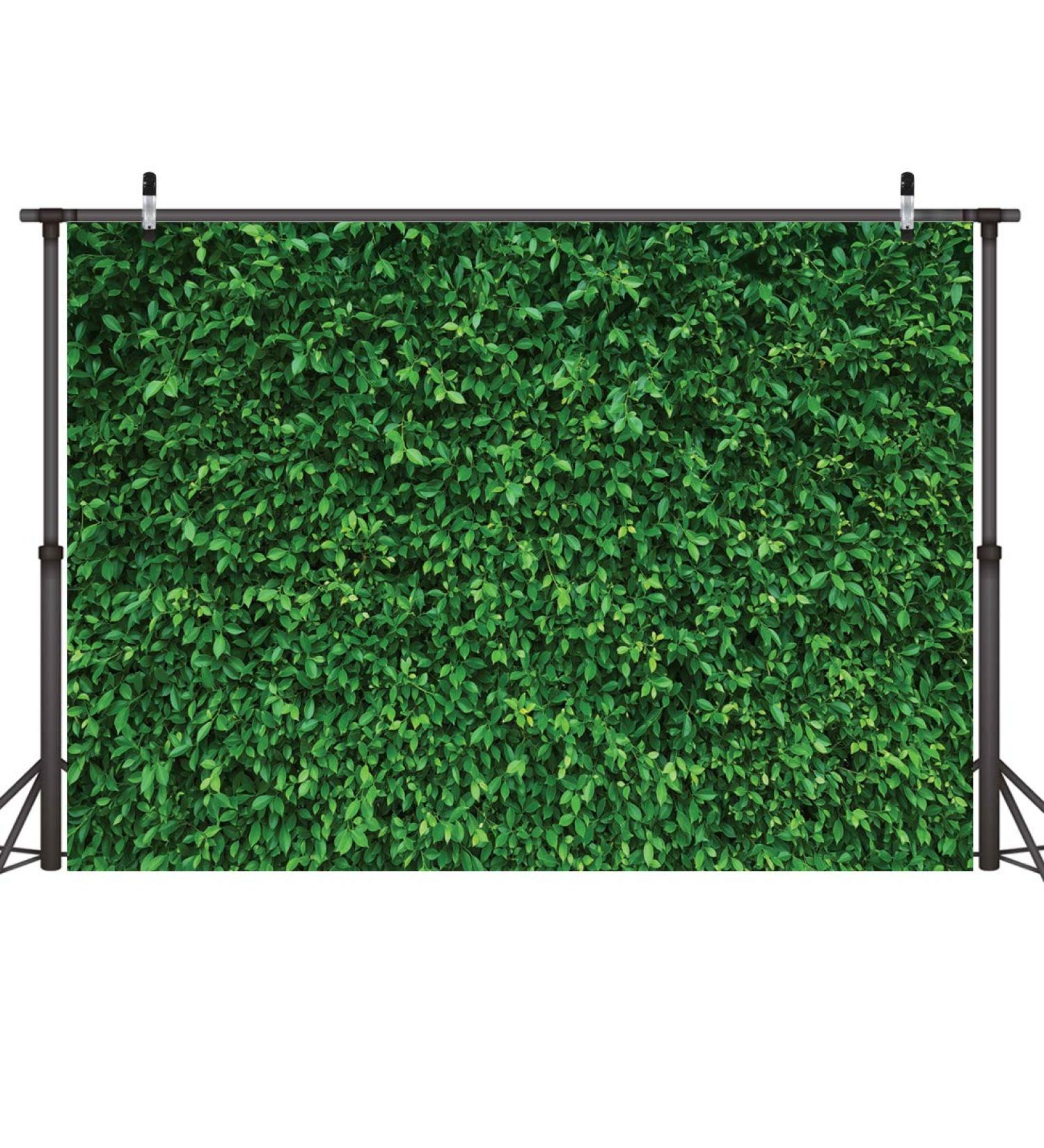 LYWYGG 7x5FT Green Leaves Photography Backdrop - Nature Birthday Party Background - Buy Online on GoSupps.com