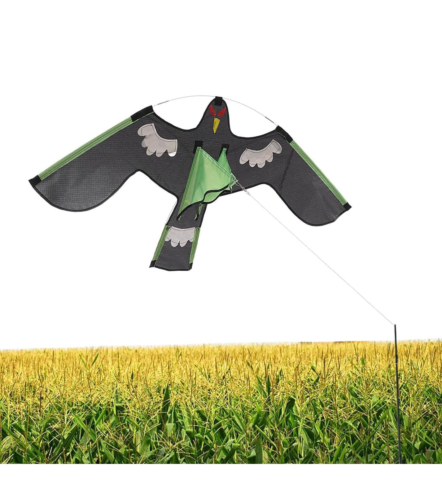 Shop Aizuoni Falcon Bird Dragons - Spring Reflective Birds for Global Shipping | Unique Decorative Art - Buy Online on GoSupps.com