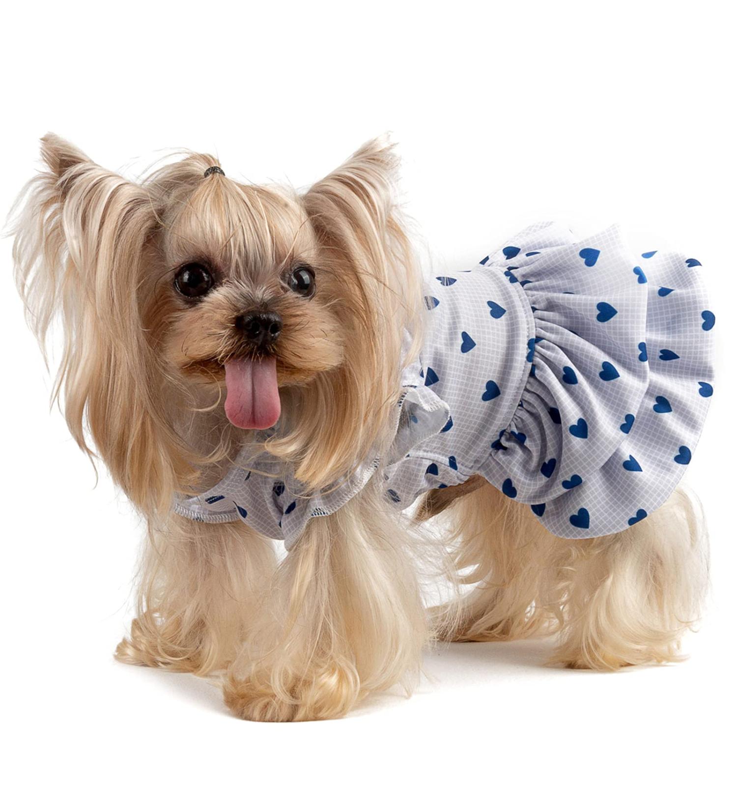 Buy CuteBone DR02DTW0102 Dog Dress - Adorable Princess Dress & Puppy Skirt in Small with Blue Hearts | International Shipping Available - Buy Online on GoSupps.com