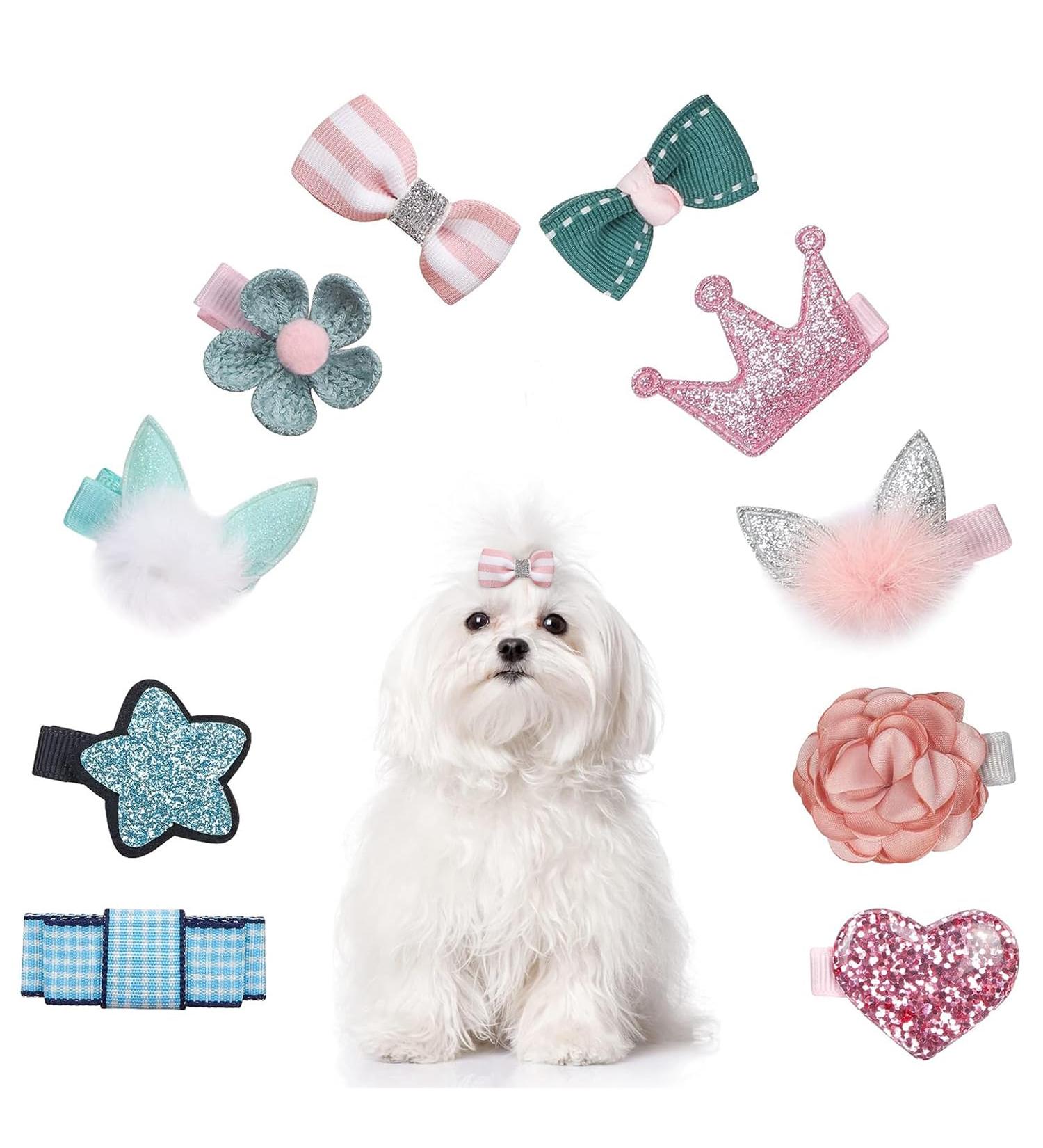 Taicols 10-Piece Dog and Cat Hair Clips - Stylish Accessories for Small to Medium Pets | Perfect for Dog Arches & Hair Care - Buy Online on GoSupps.com