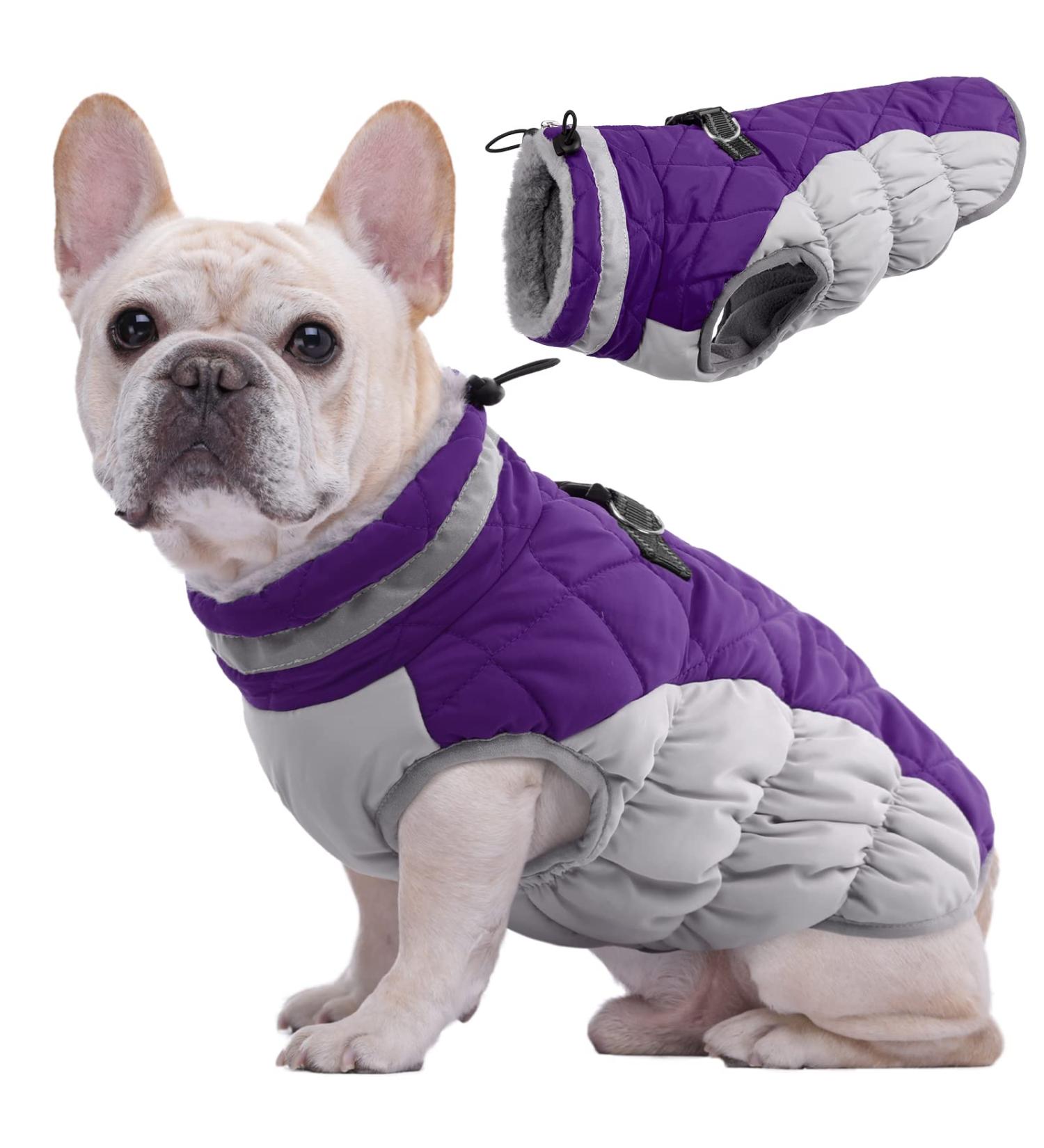 Kuoser Waterproof Dog Coat - Winter Warm Jacket for Small & Medium Dogs Fleece-Lined Reflective Vest - Cozy Purple Pet Clothing - Buy Online on GoSupps.com