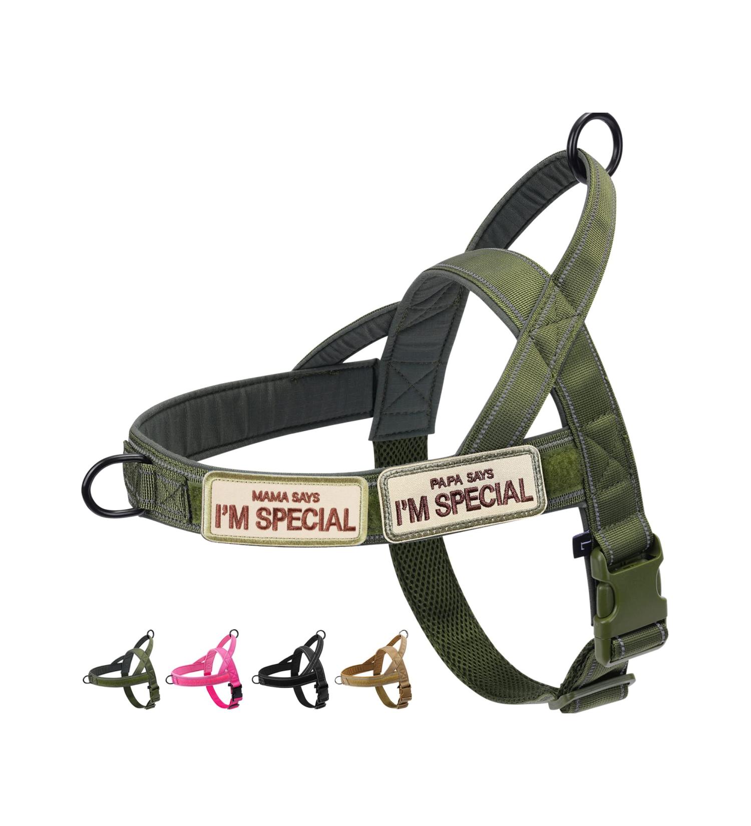 Buy Eeyfarog No Pull Dog Harness for Small & Medium Dogs - Adjustable Reflective Safe & Comfortable - XL Green - International Shipping Available - Buy Online on GoSupps.com