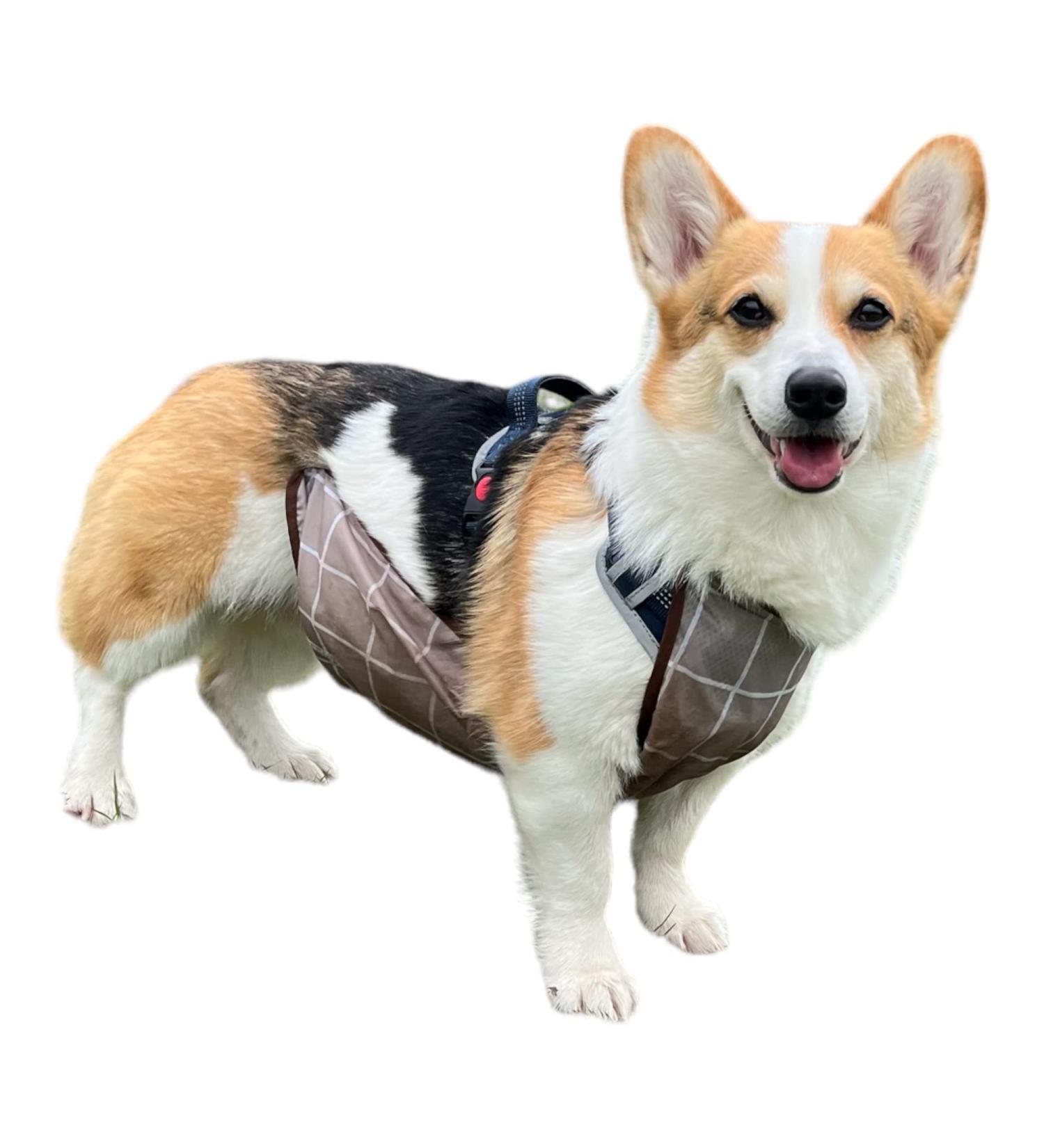 Waterproof Pet Dog Belly Vest Jacket - Grey Grid Medium | Lightweight & Breathable Cover for Rain, Snow, and Mud - Buy Online on GoSupps.com