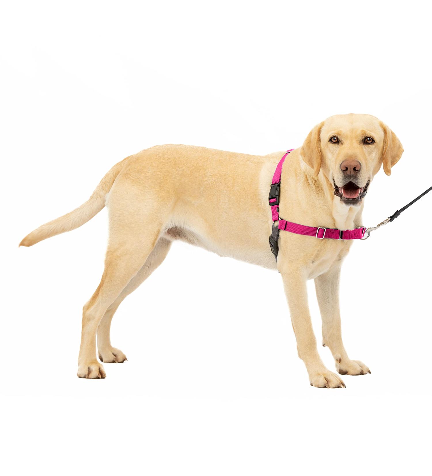 PetSafe Easy Walk Harness - Anti-Pull Dog Harness with 1.8M Leash | Reduces Choking & Coughing | Size L Pink | International Shipping - Buy Online on GoSupps.com