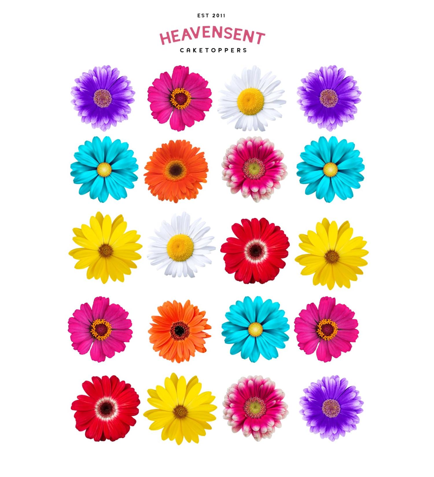 Cake Topper Edible Pre-cut 40 Daisy Multi Colour Premium Thick Sweet Wafer Card Standing Cupcake Toppers Birthday Party Cake Decorations