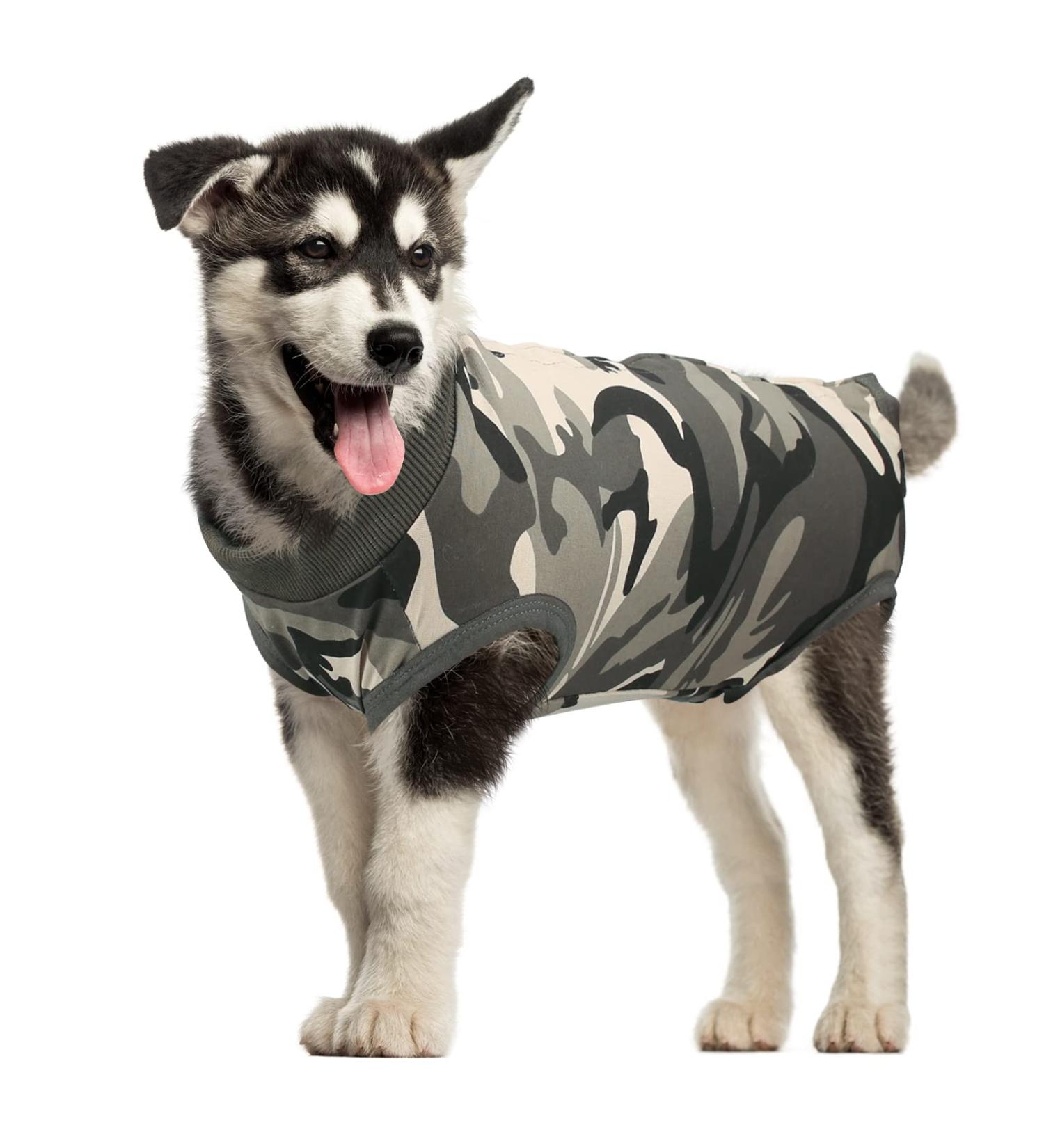 MI CASA Dog Recovery Suit - Female Bodysuit for Post-Surgery Care - Camouflage, Size L - Buy Online on GoSupps.com
