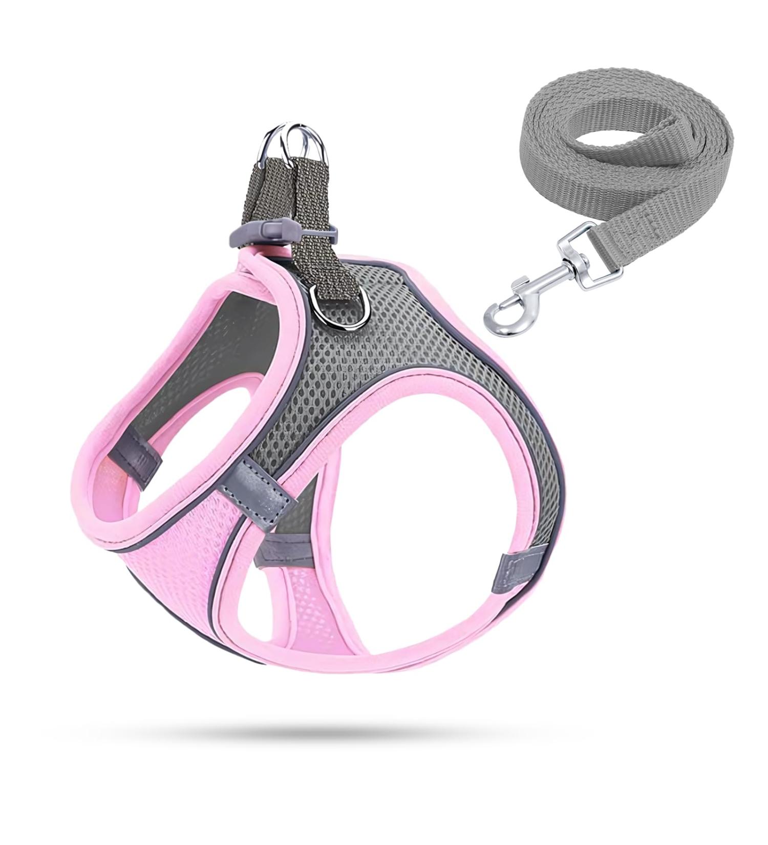 Shop XS Pink Dog Harness & Puppy Tableware | Small Dog Dishes & Leash - Curli - Buy Online on GoSupps.com