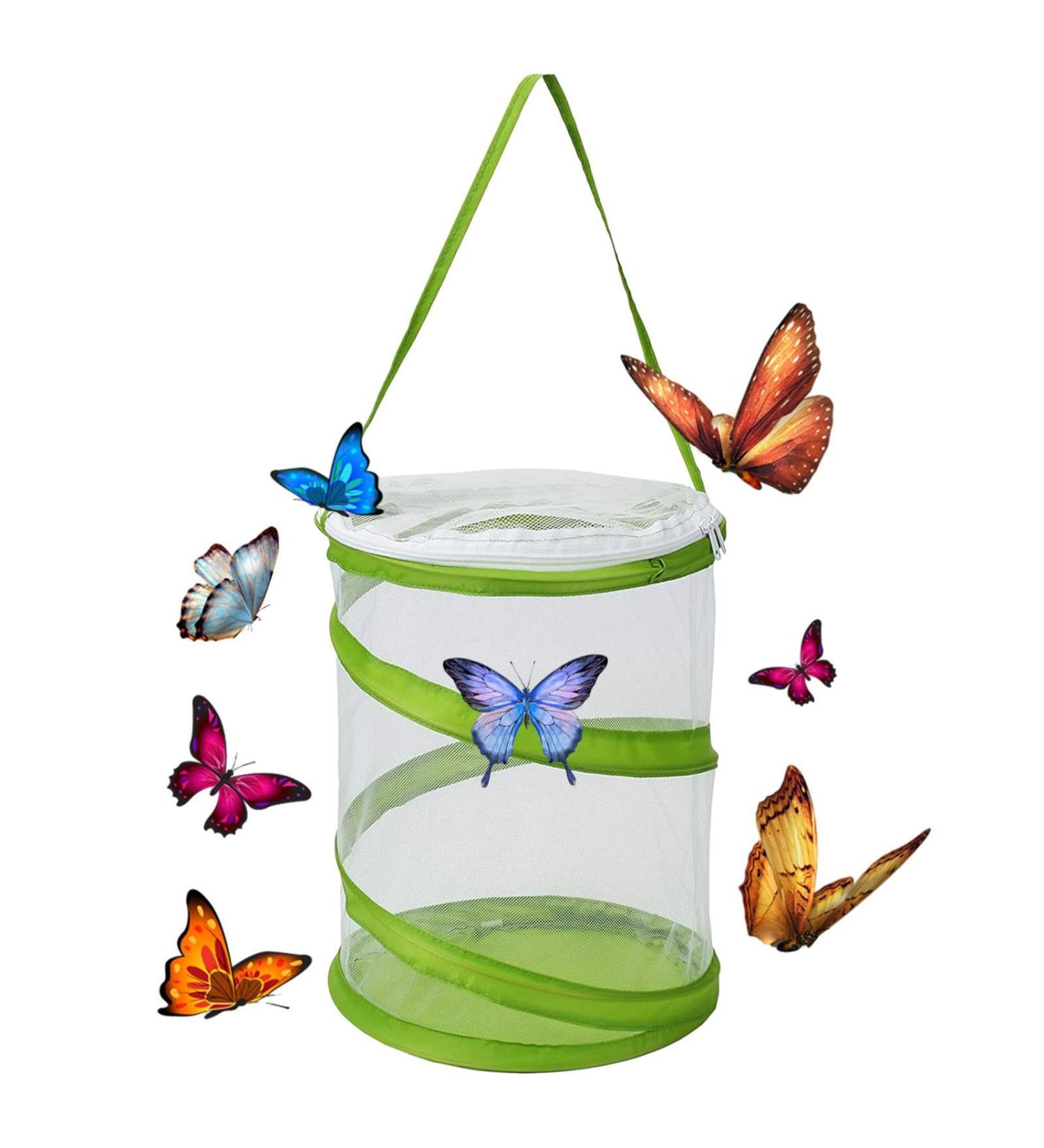 Butterfly Net Habitat Clear Butterfly Enclosures Mini Mesh Cage - butterfly cage for caterpillars Butterfly Enclosures for Indoors 6.3" x 7.9" Tall - Buy Online on GoSupps.com