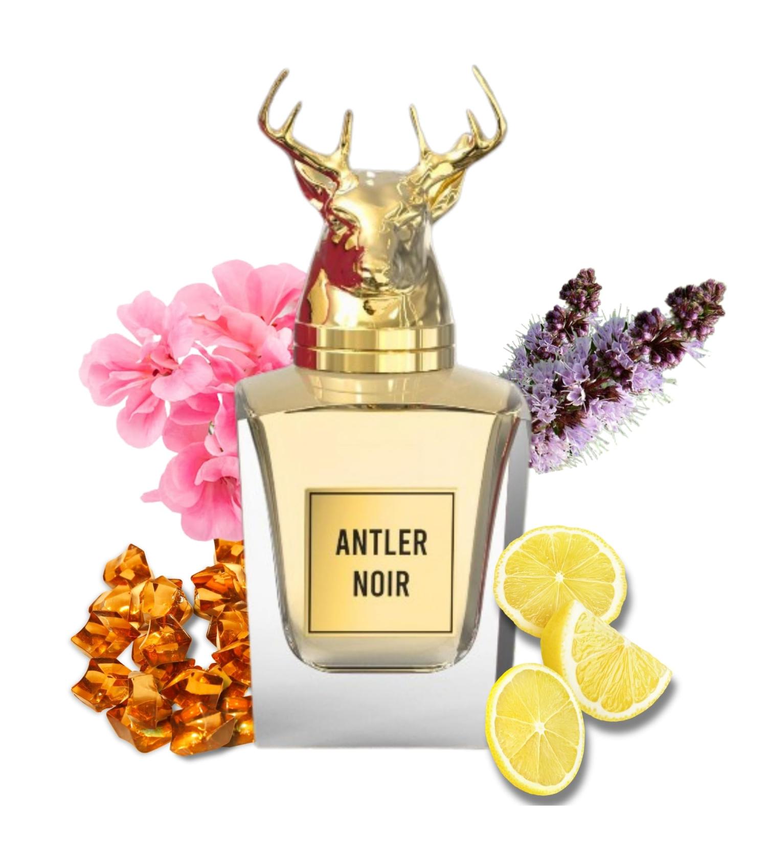 Antler Noir - Signature Perfume for Men with Oriental Citrus Scent | Alcohol Free & Long Lasting Arabian Perfume for Men 3.4 Fl. Oz. - Buy Online on GoSupps.com